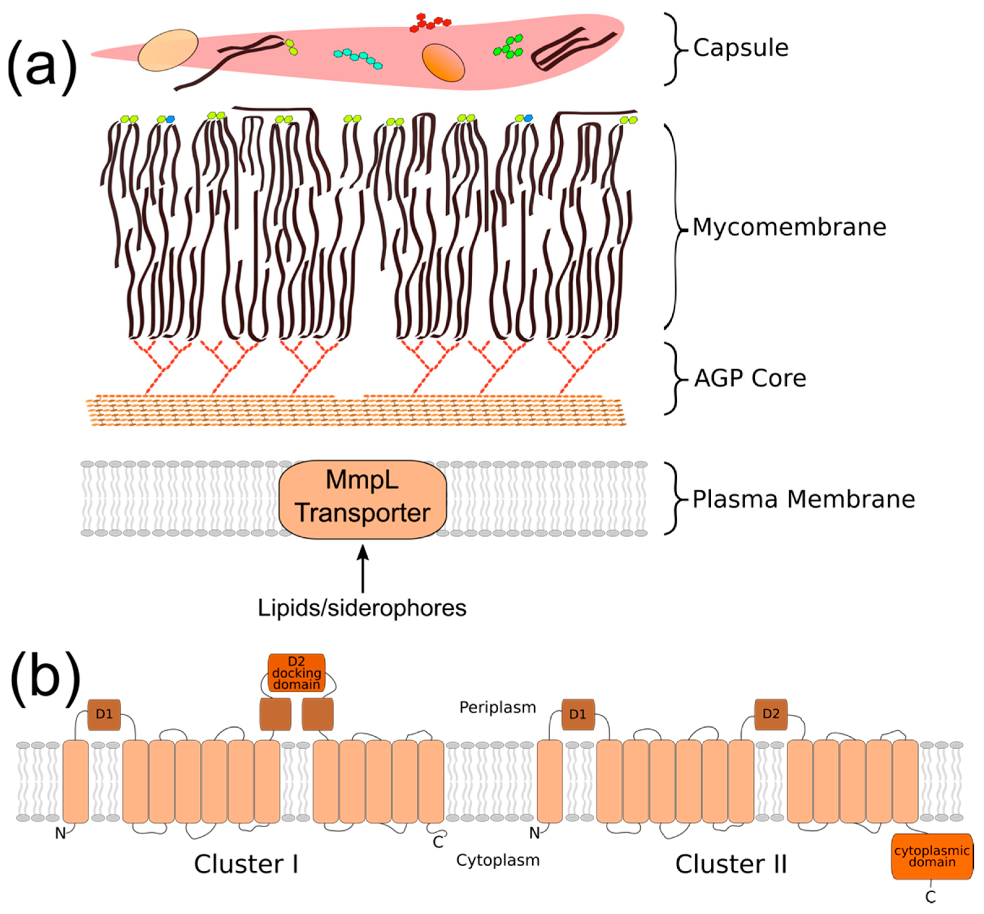 Microorganisms 07 00070 g001
