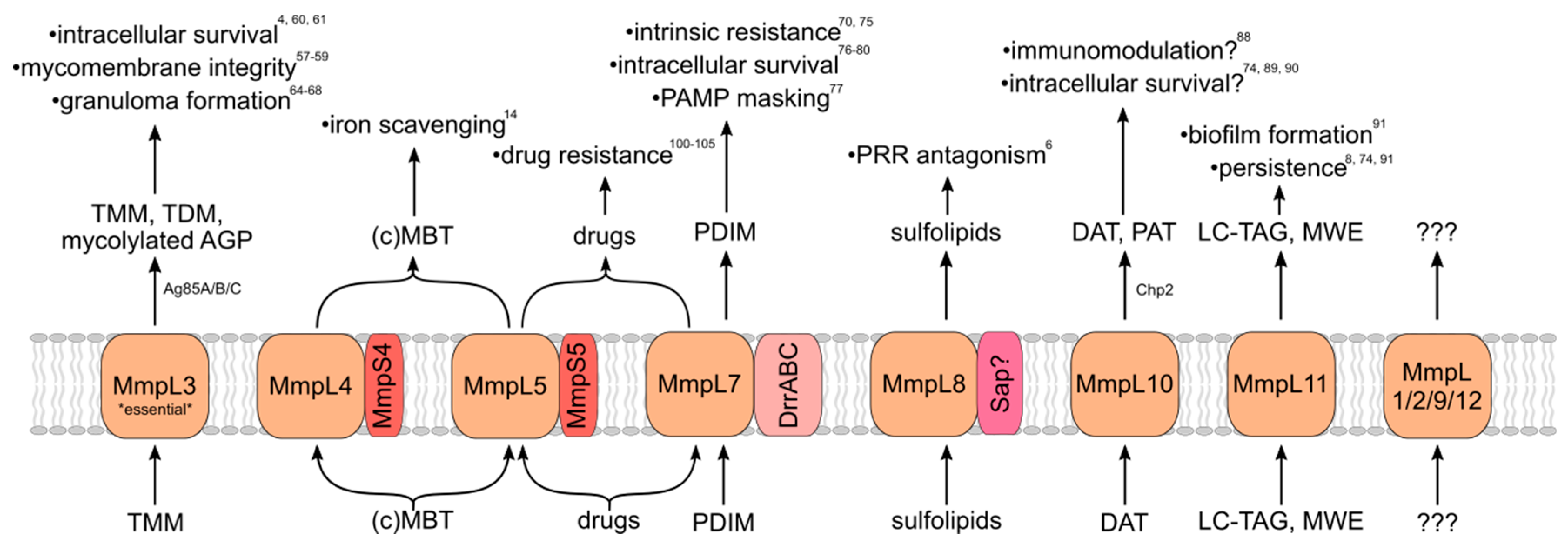 Microorganisms 07 00070 g002