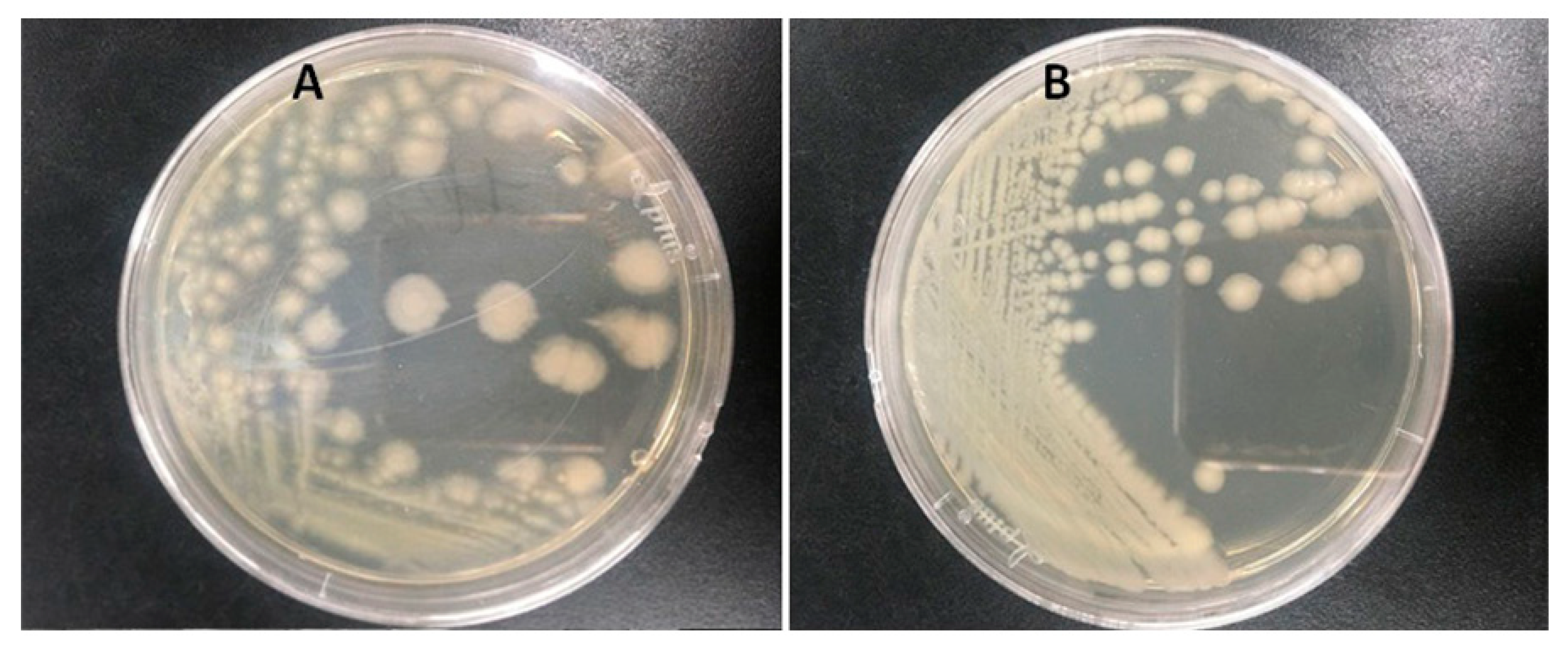 Microorganisms 07 00080 g001
