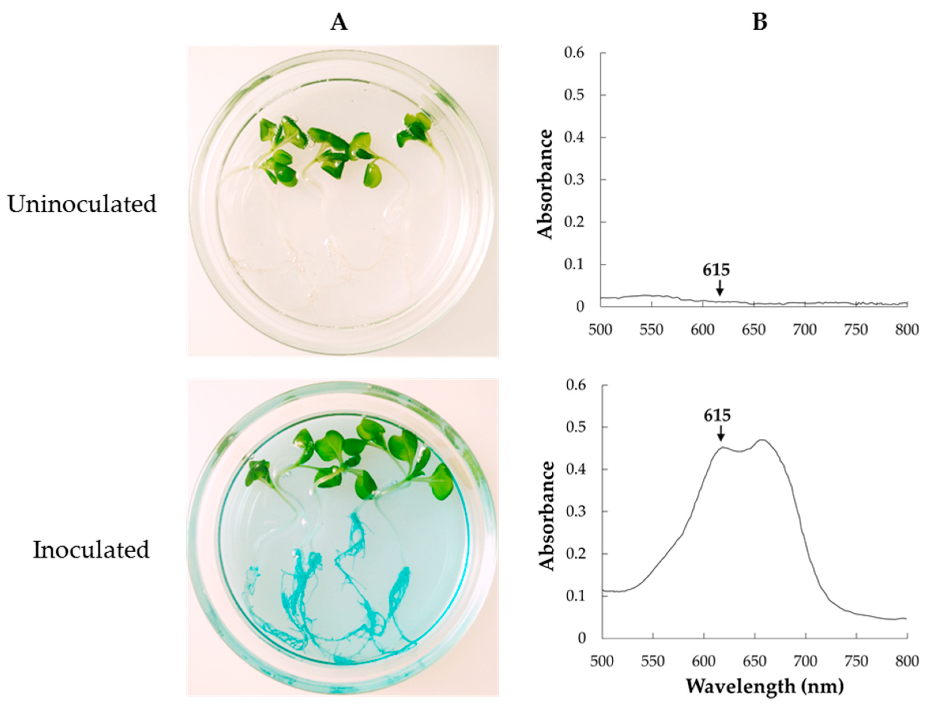 Microorganisms 07 00082 g005