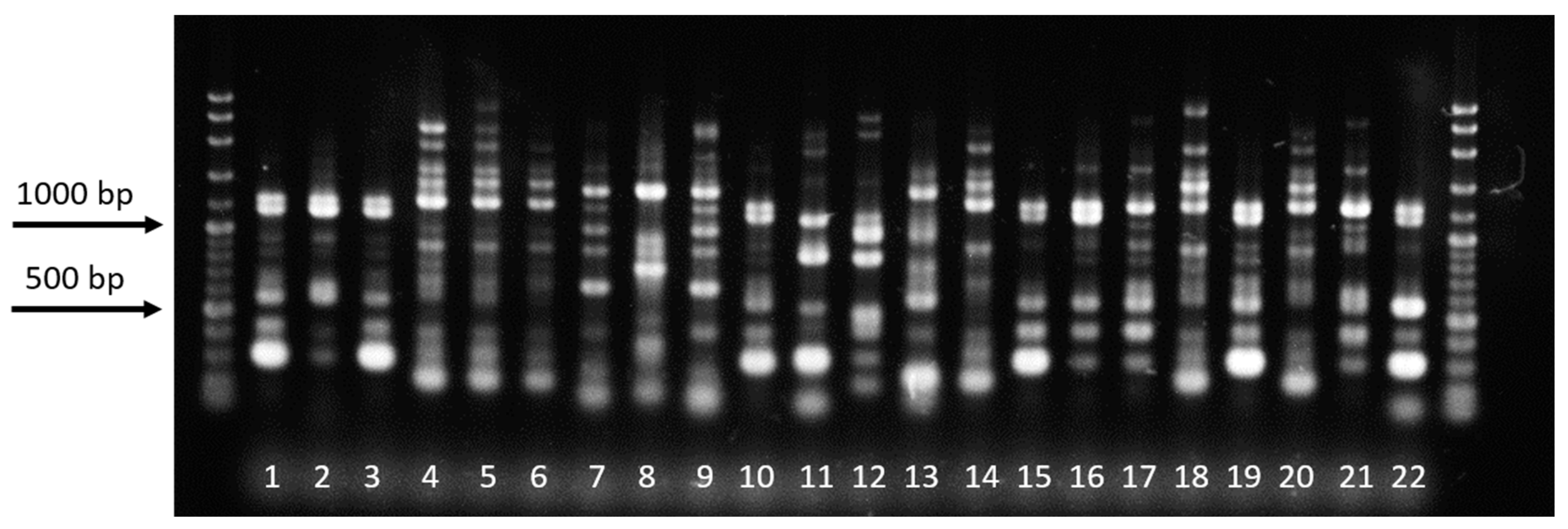 Microorganisms 07 00088 g008