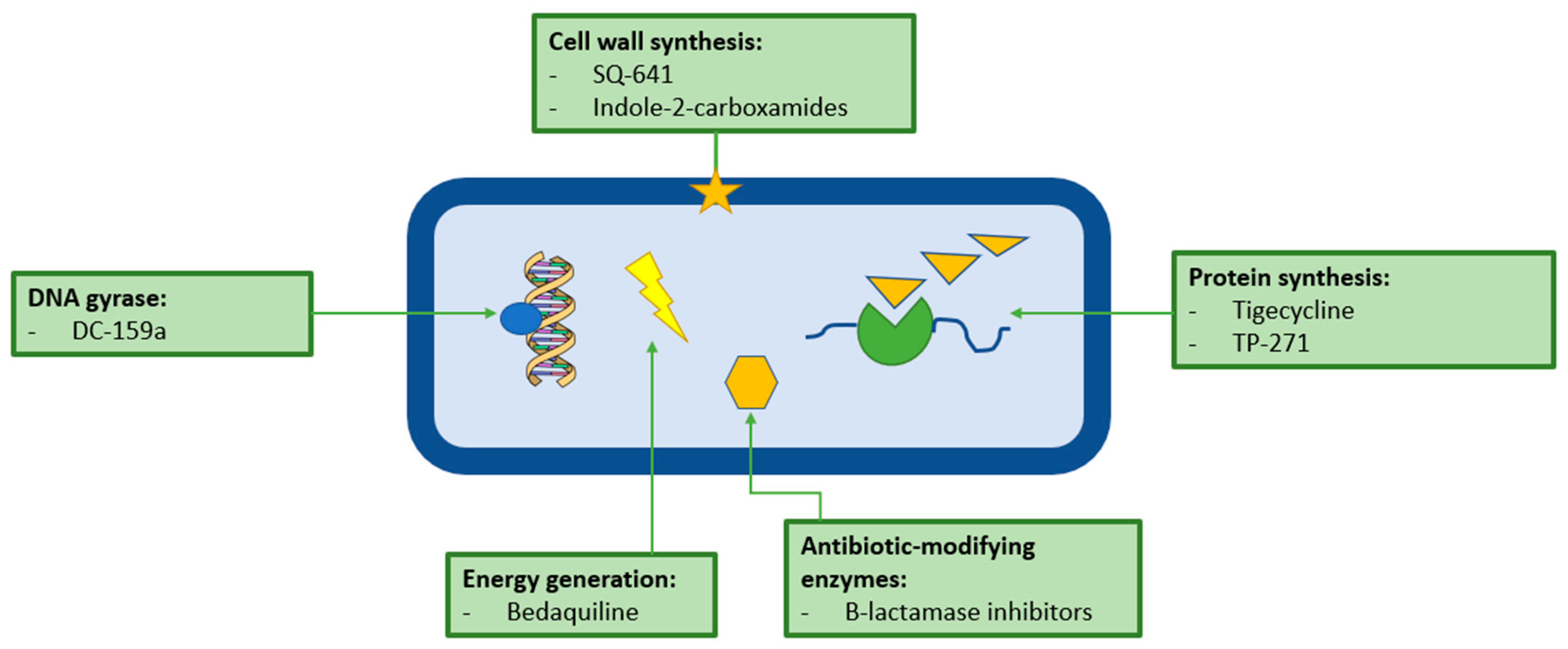 Microorganisms 07 00090 g004