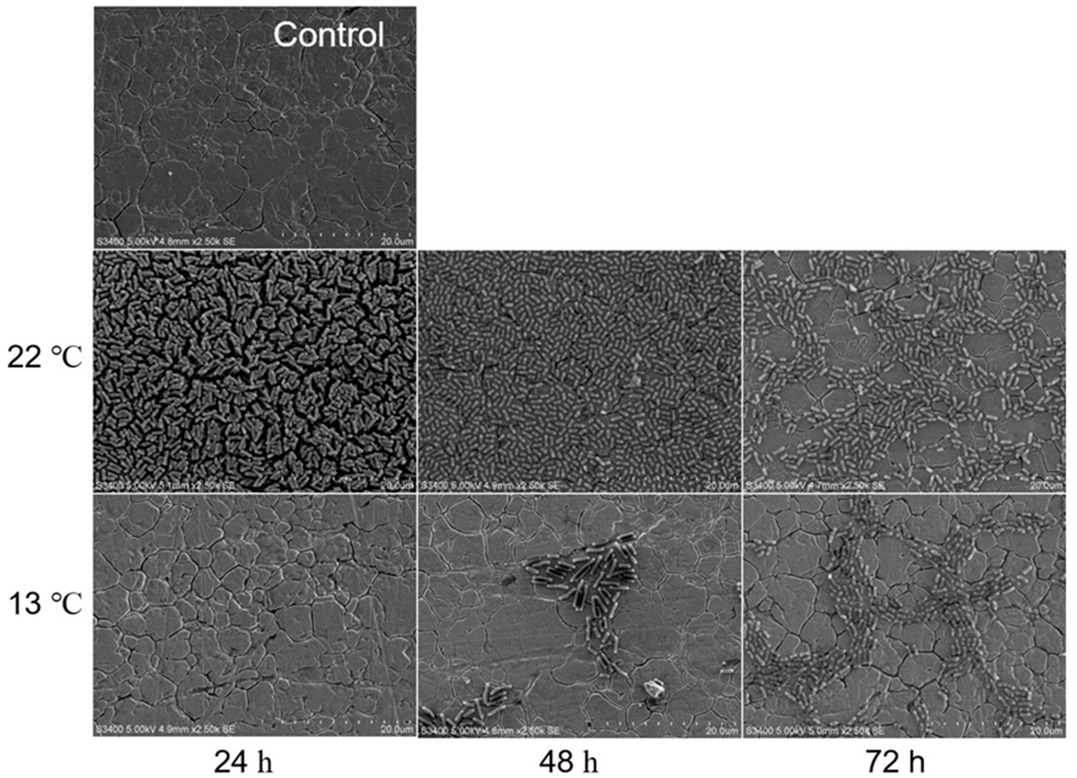 Microorganisms 07 00095 g003