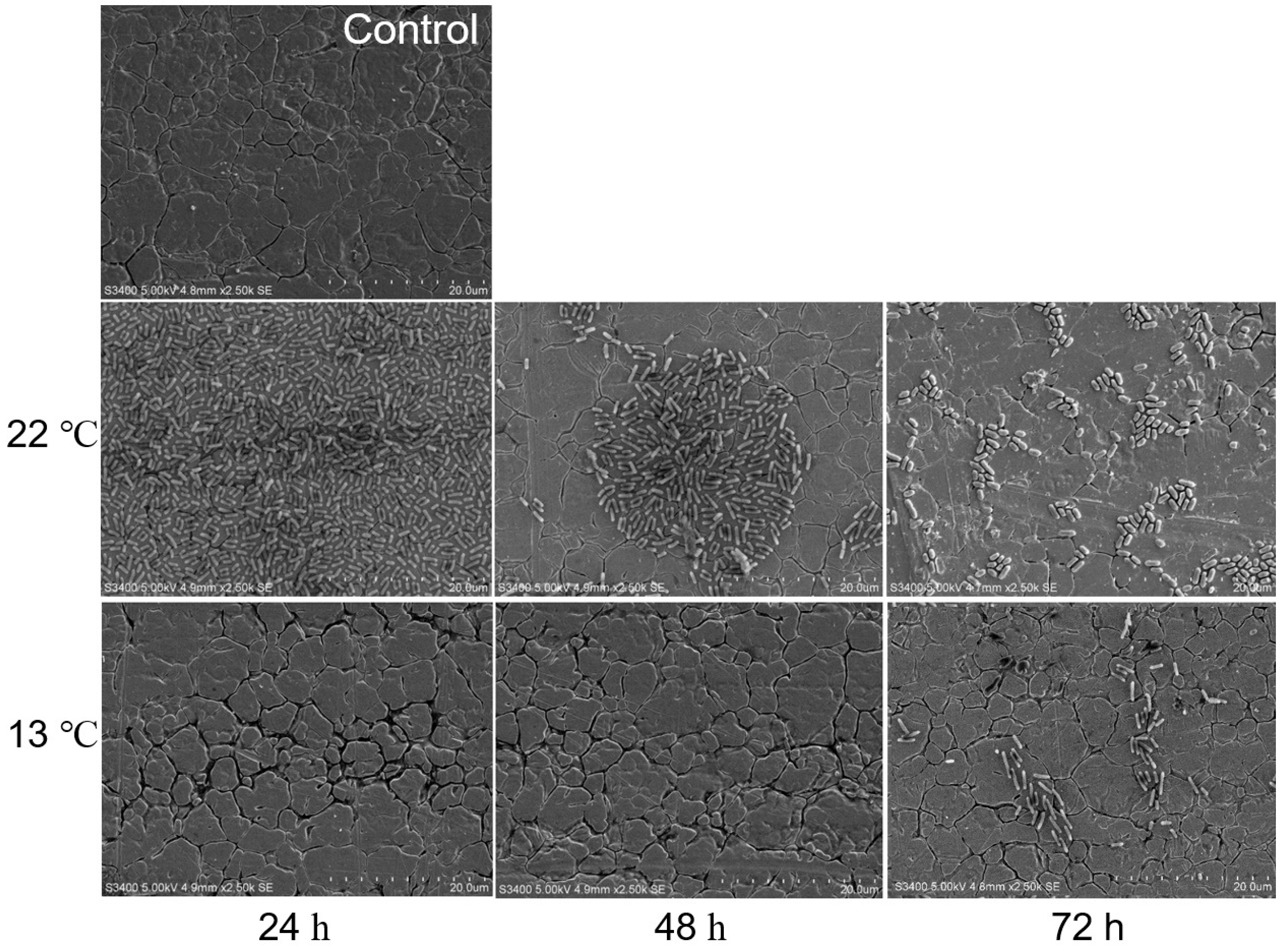 Microorganisms 07 00095 g005