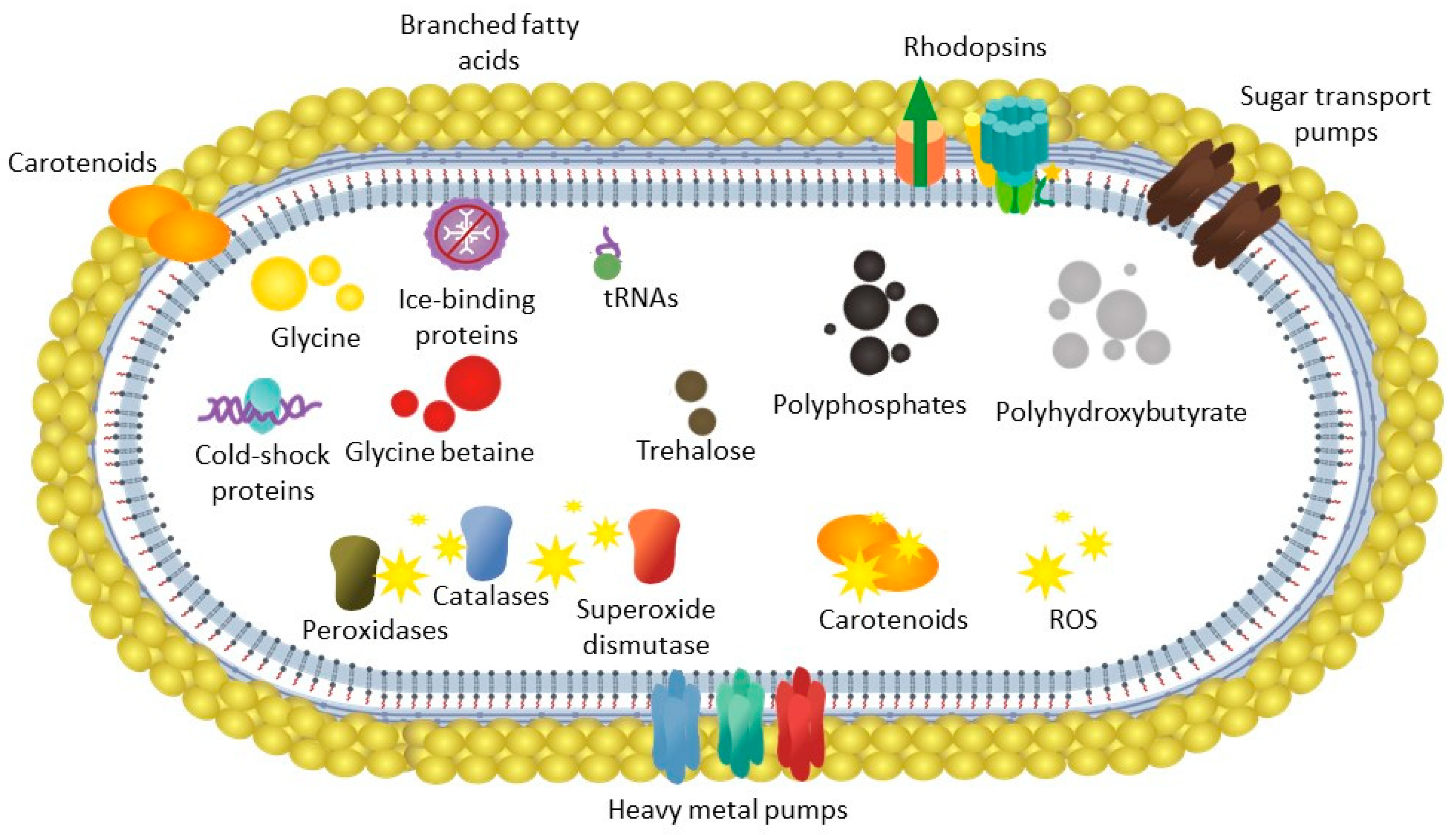 Microorganisms 07 00107 g005