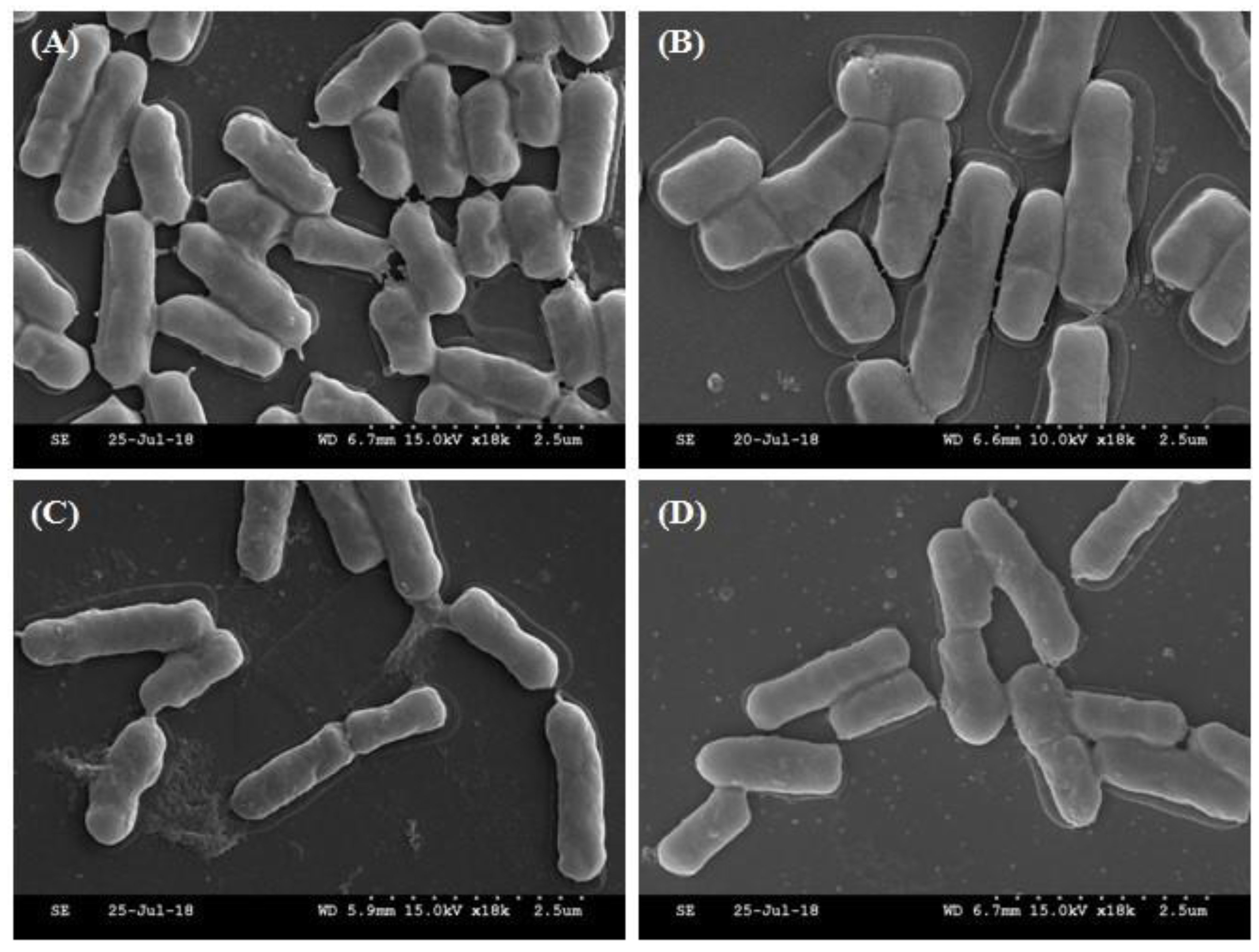 Microorganisms 07 00109 g003
