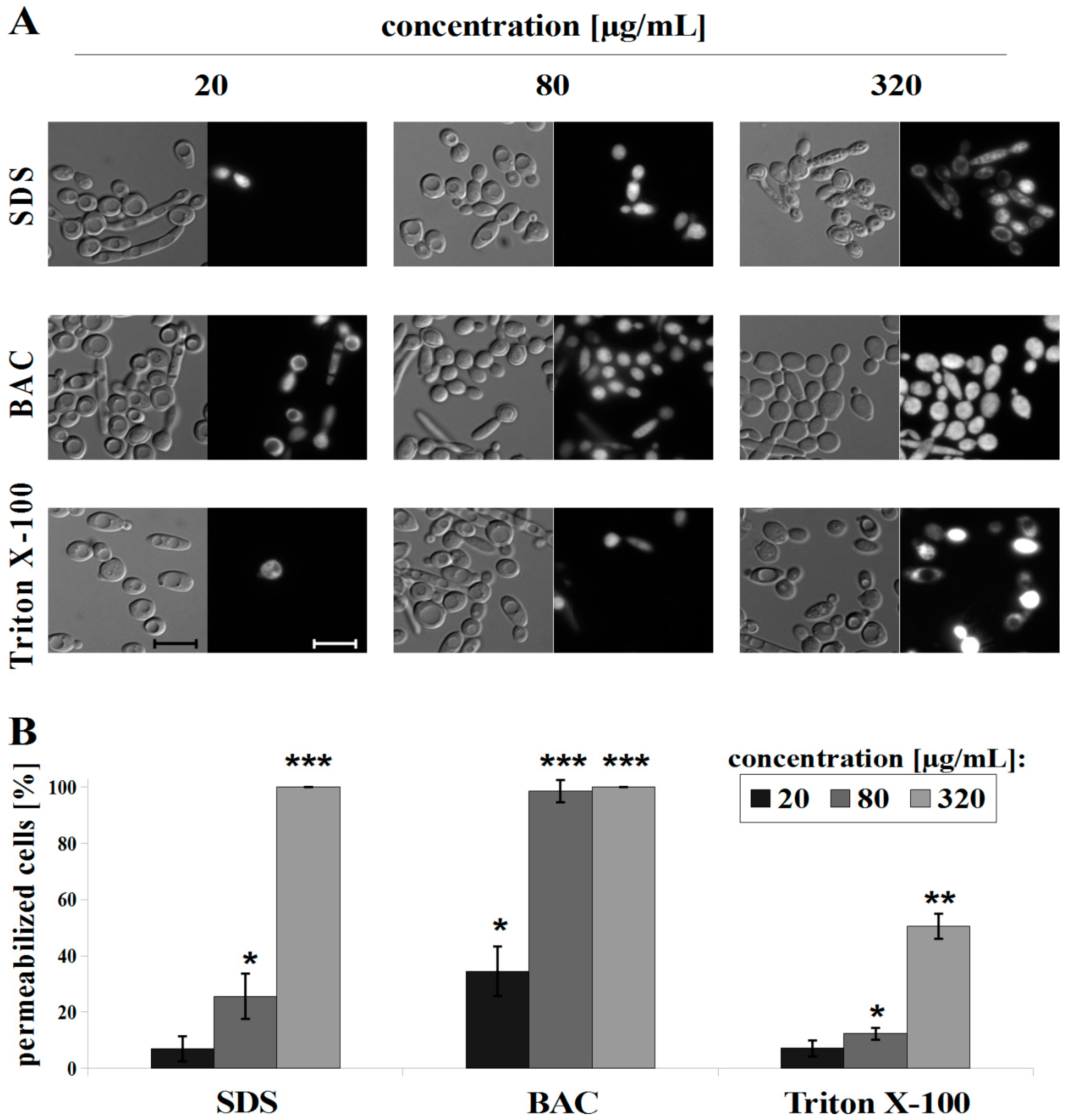 Microorganisms 07 00110 g005