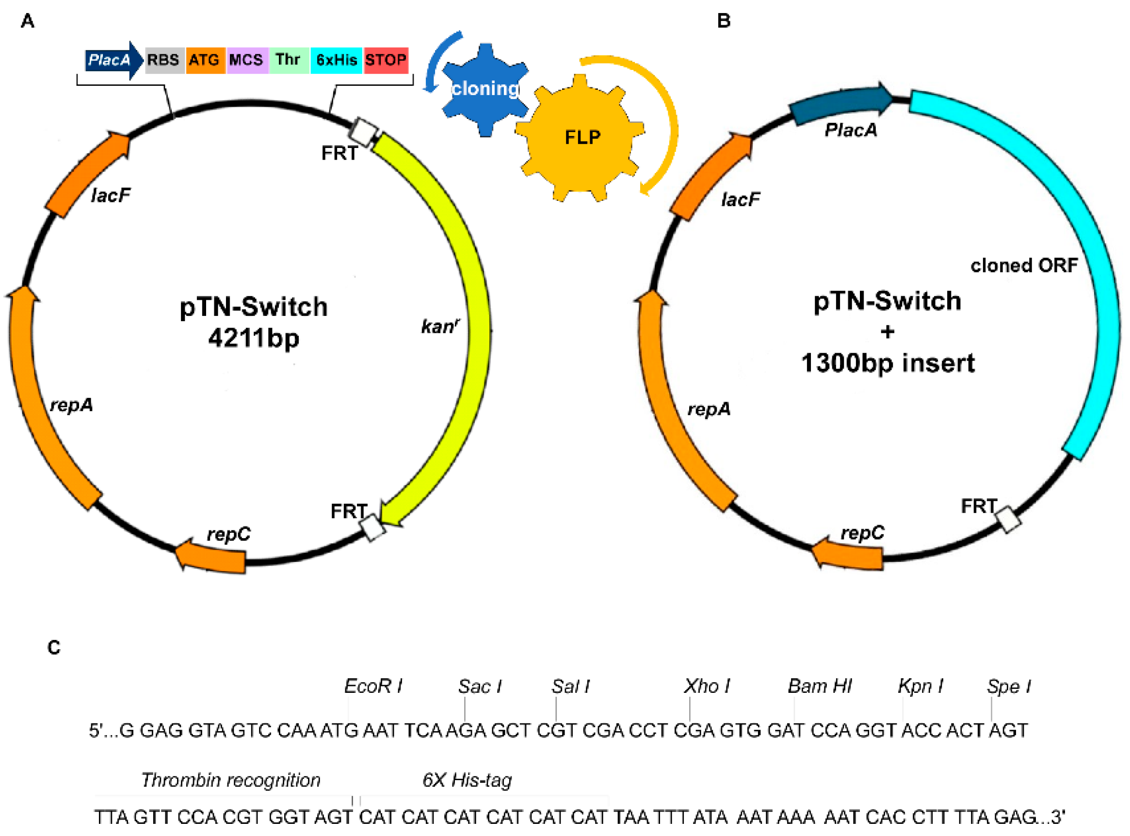 Microorganisms 07 00116 g001