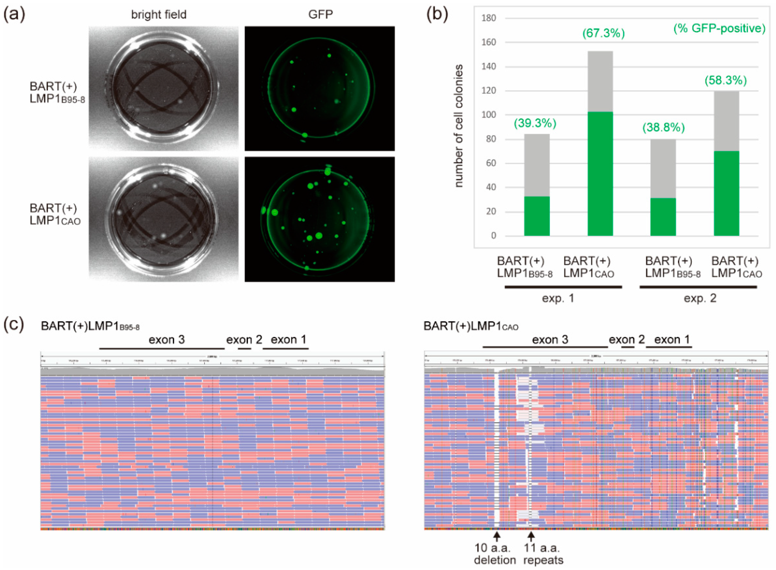 Microorganisms 07 00119 g003 Microorganisms 07 00119 g003