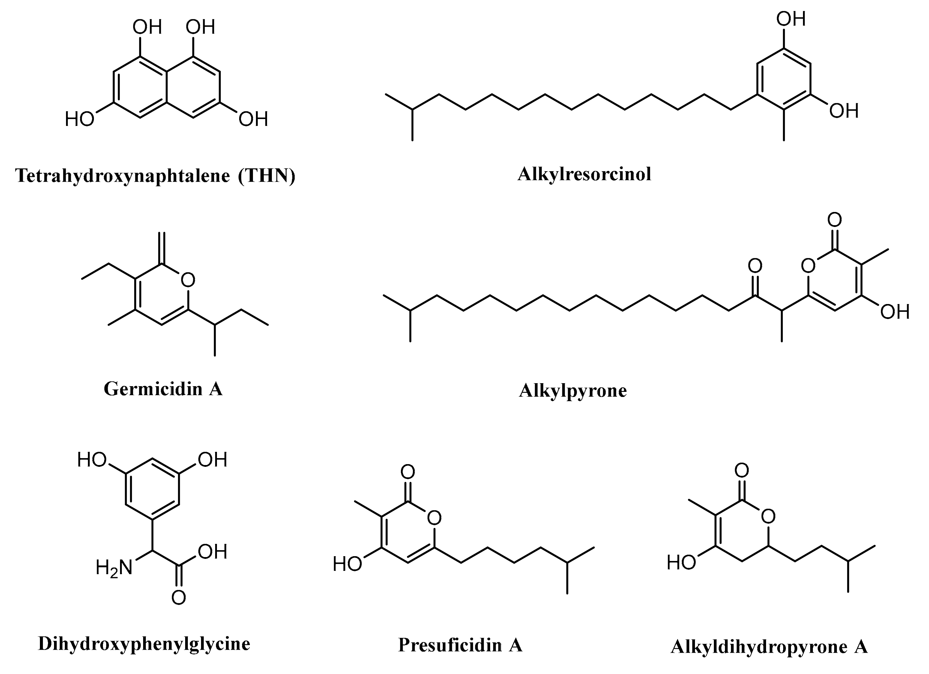 Microorganisms 07 00124 g007 Microorganisms 07 00124 g007