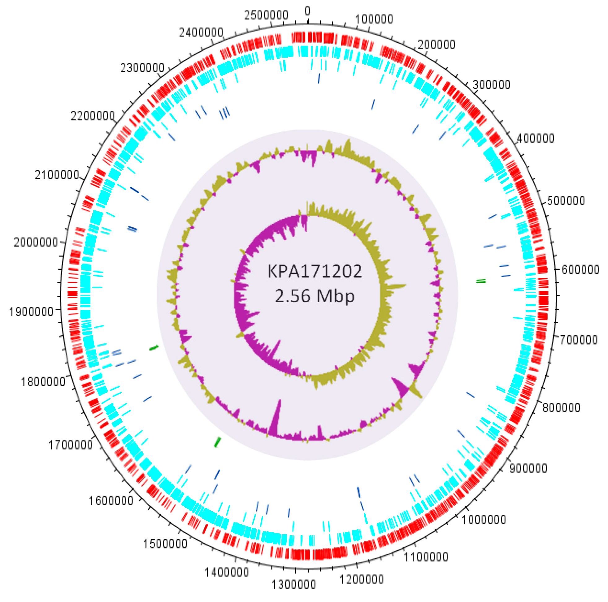 Microorganisms 07 00128 g008 Microorganisms 07 00128 g008