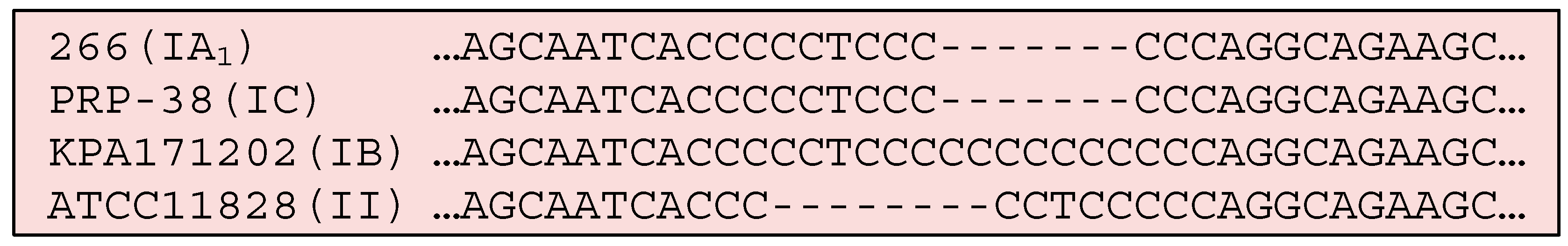 Microorganisms 07 00128 g010 Microorganisms 07 00128 g010