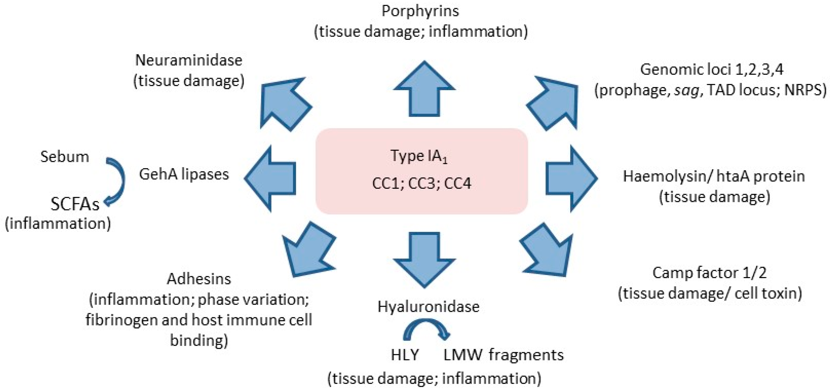 Microorganisms 07 00128 g012 Microorganisms 07 00128 g012