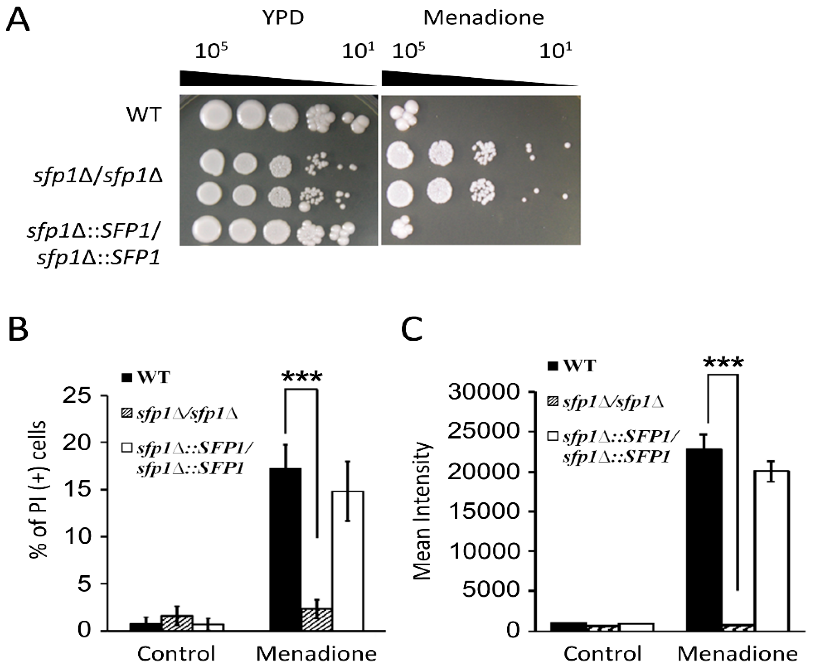 Microorganisms 07 00131 g002
