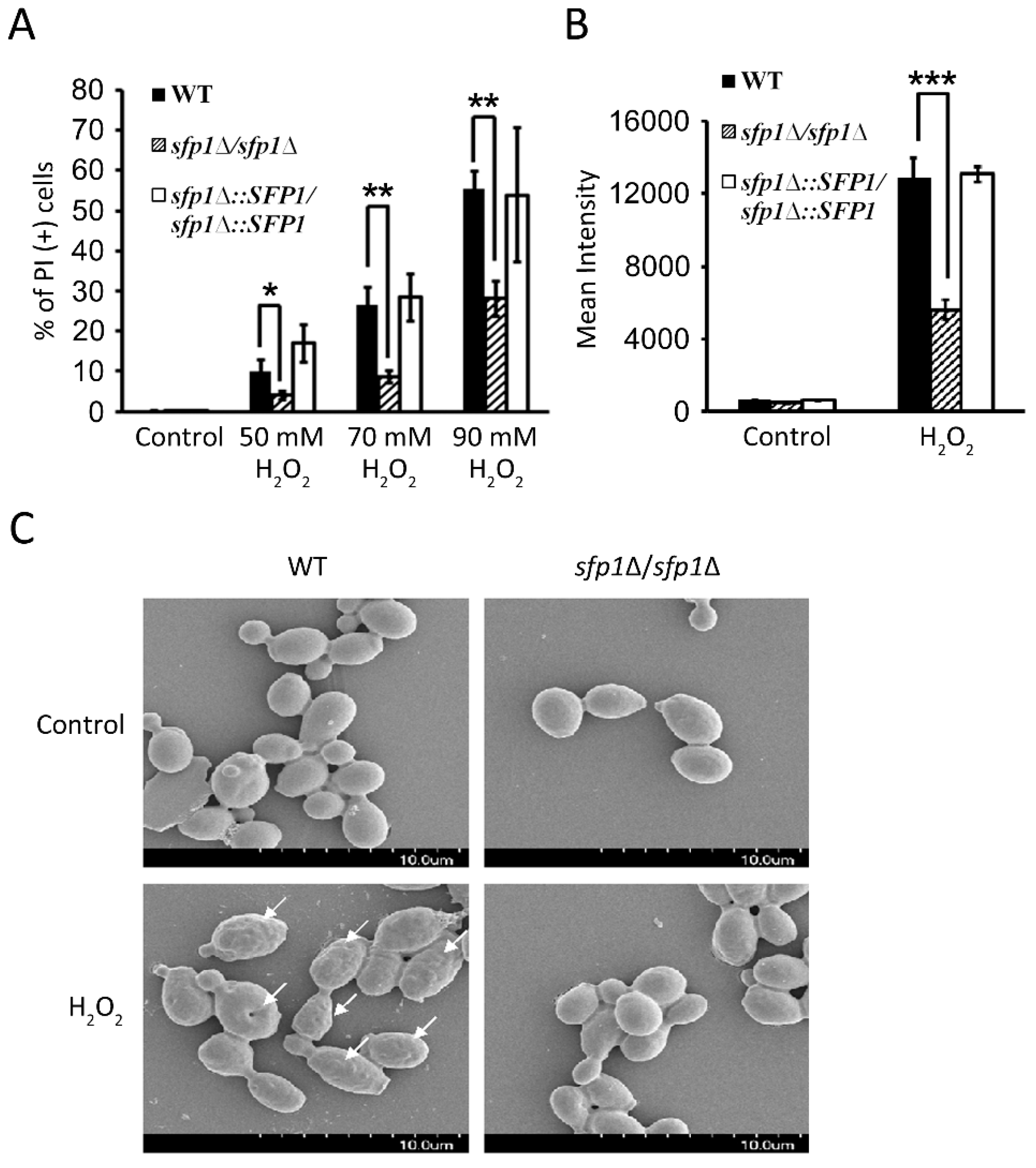 Microorganisms 07 00131 g004