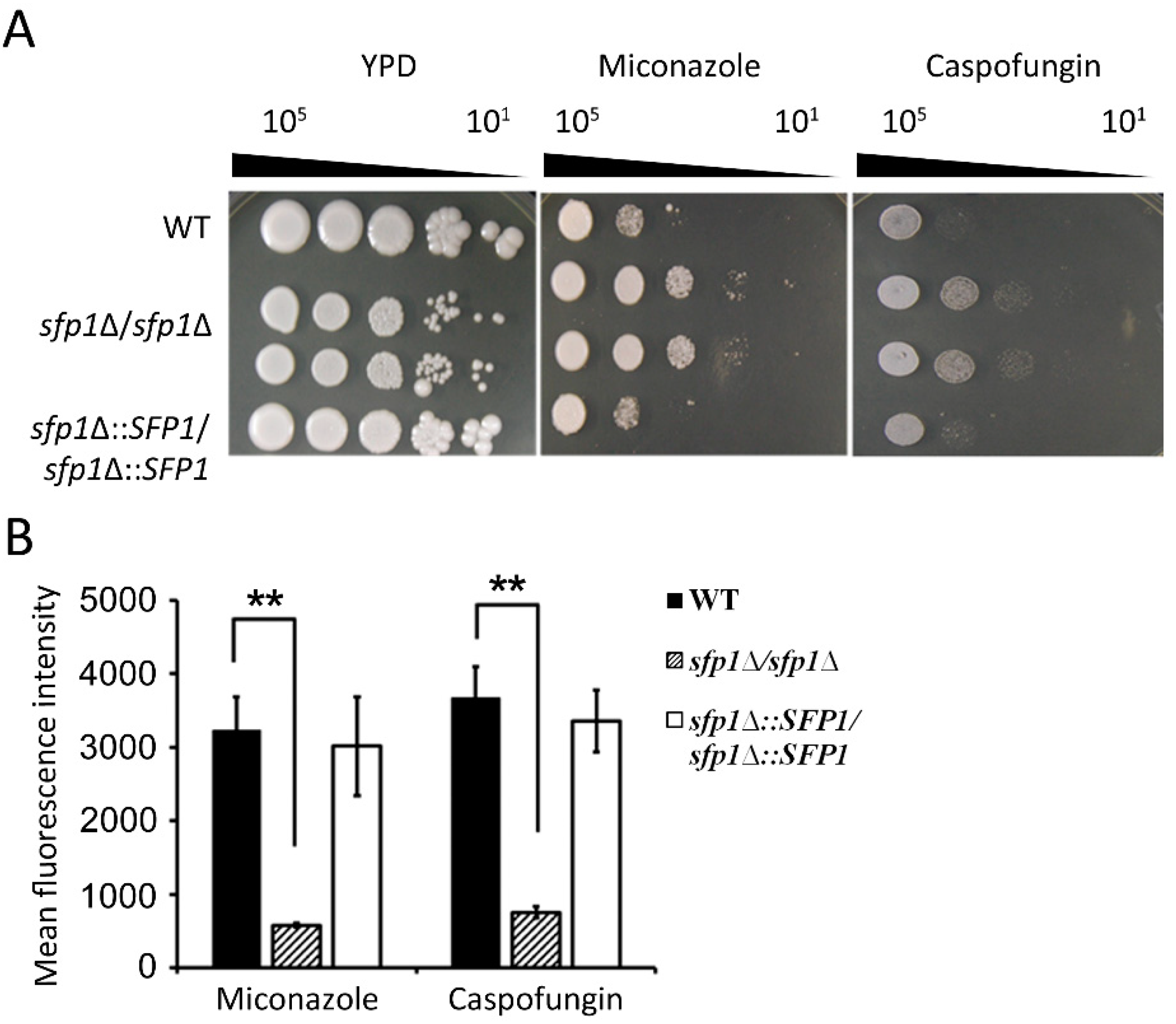 Microorganisms 07 00131 g009