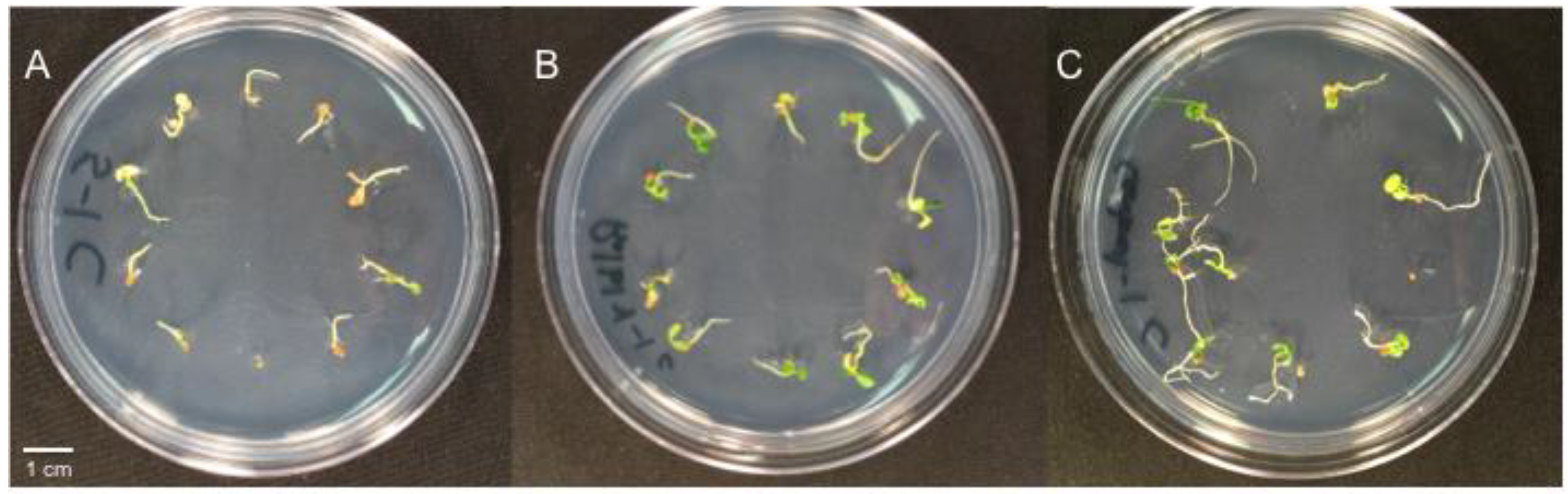 Microorganisms 07 00143 g002 Microorganisms 07 00143 g002