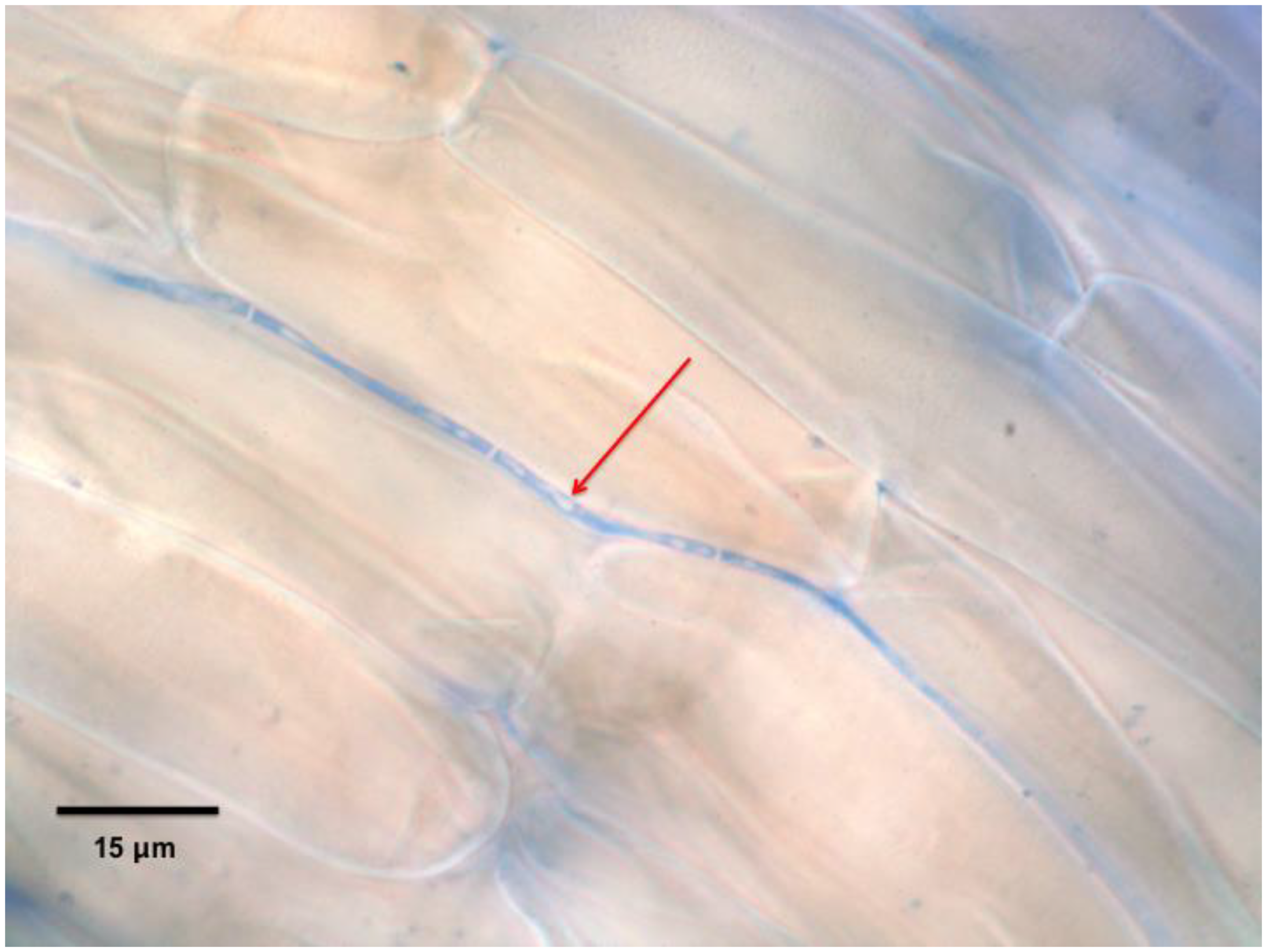 Microorganisms 07 00143 g003 Microorganisms 07 00143 g003