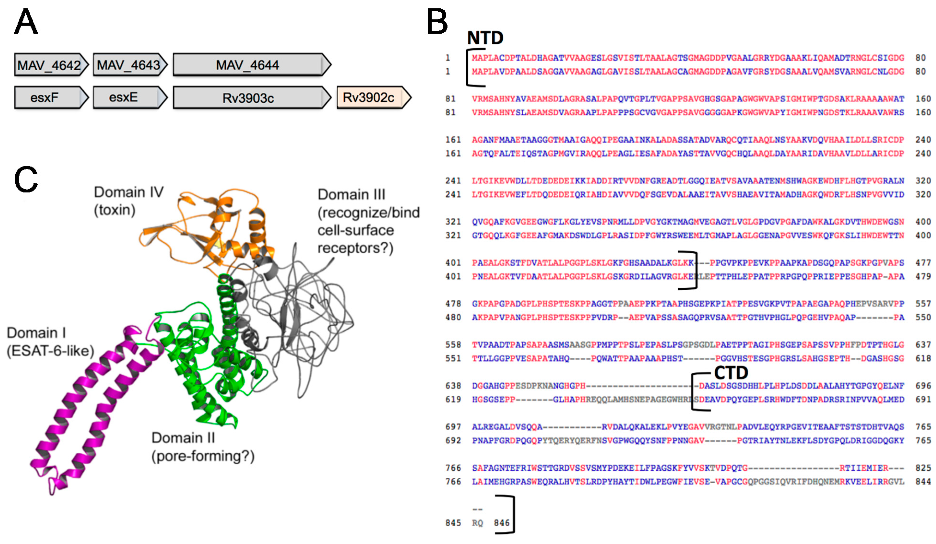 Microorganisms 07 00144 g004