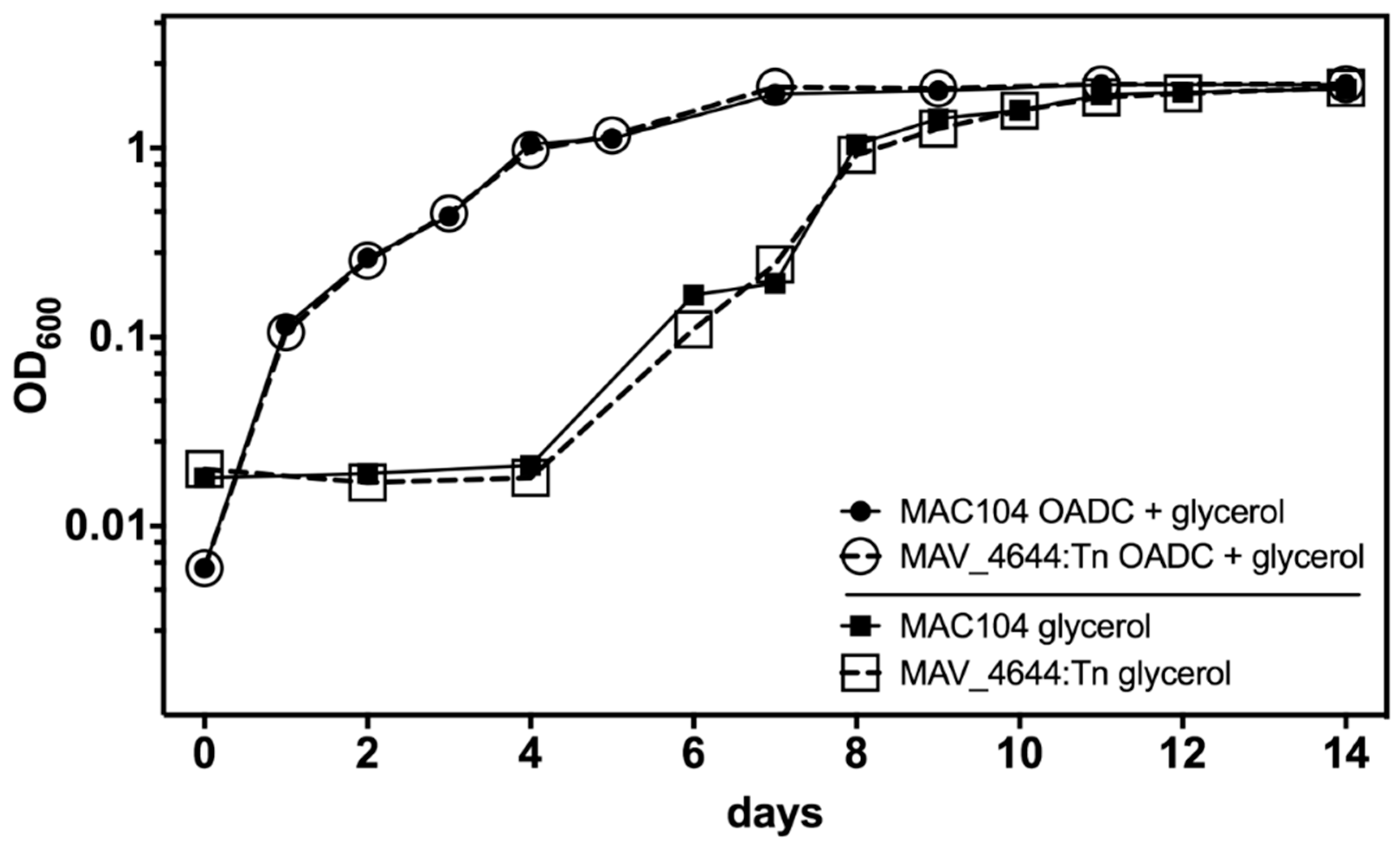 Microorganisms 07 00144 g005