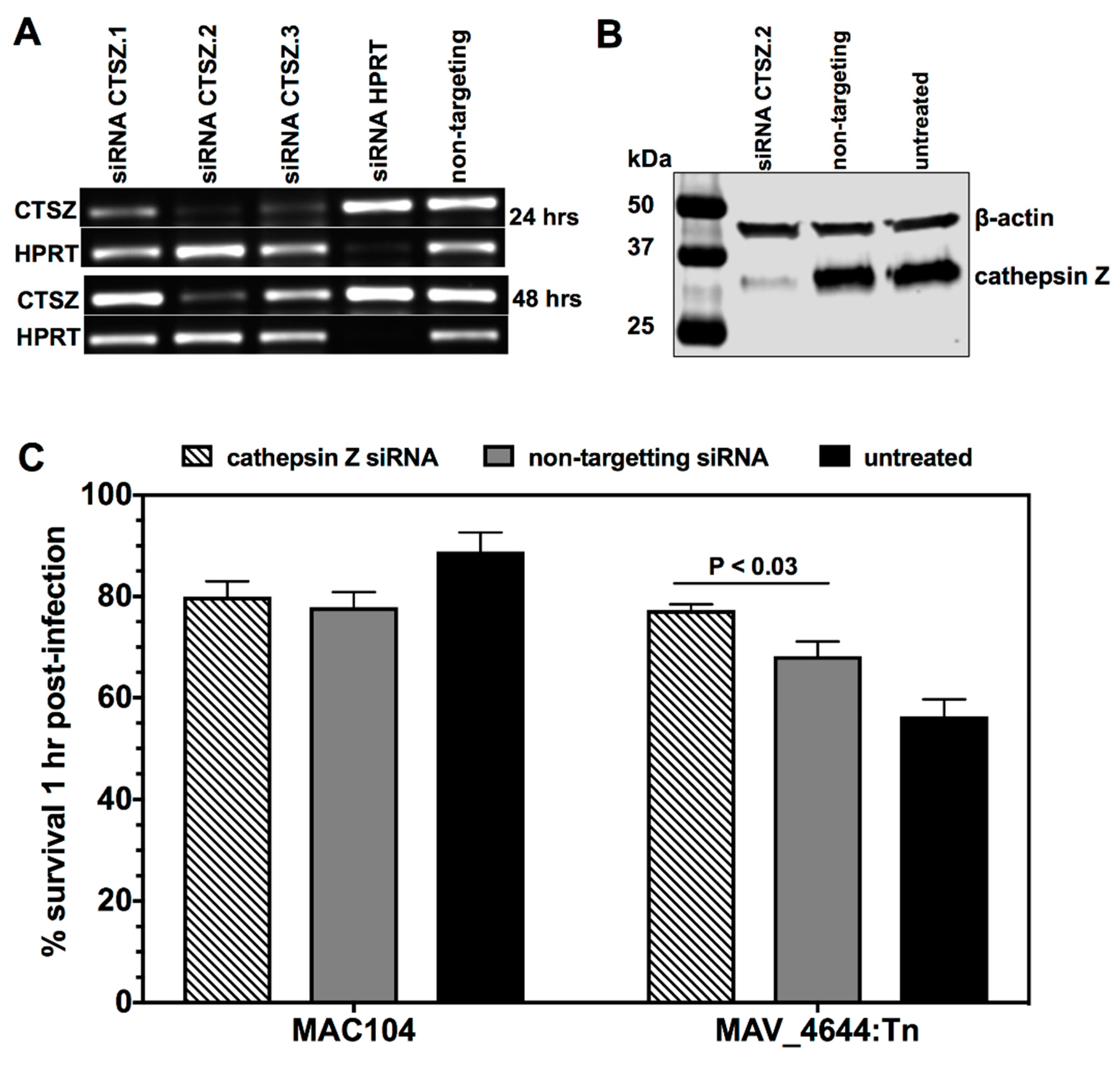 Microorganisms 07 00144 g007
