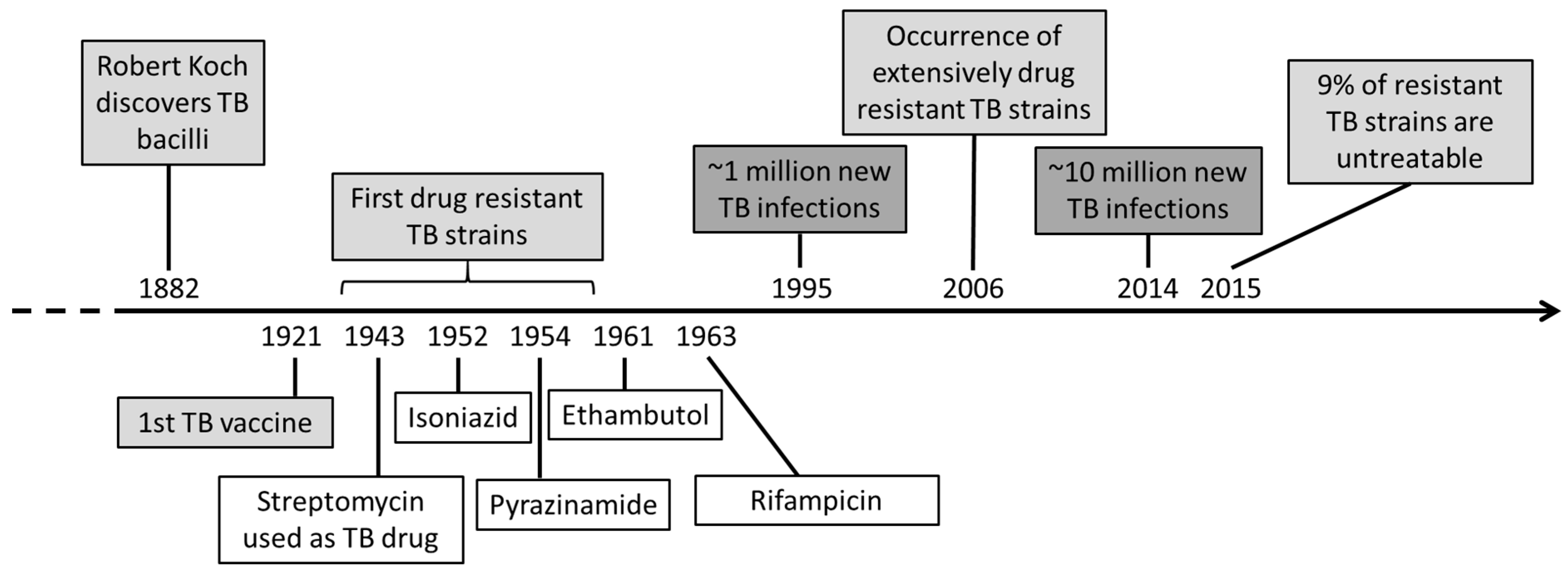 Microorganisms 07 00148 g001