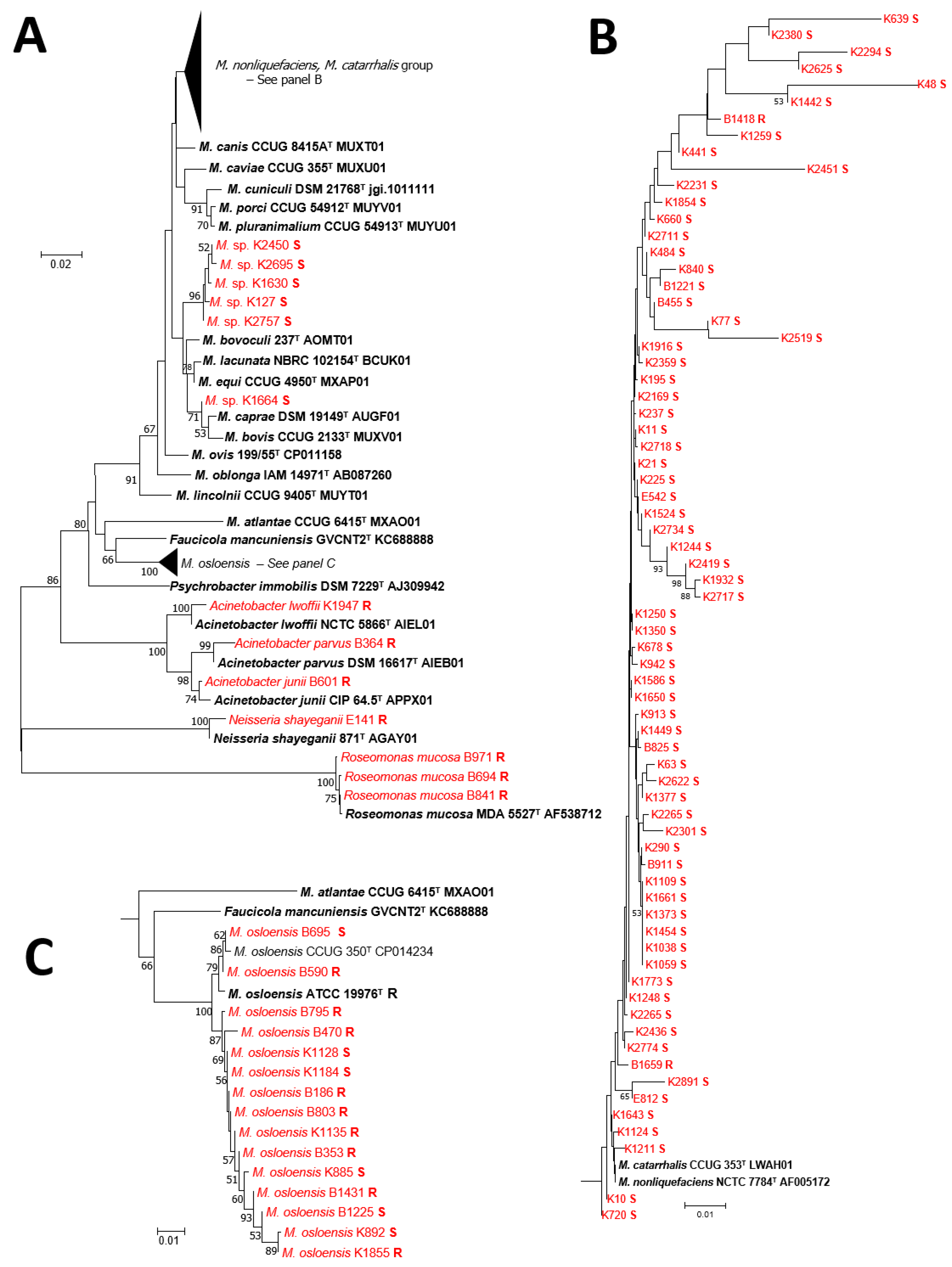 Microorganisms 07 00163 g003