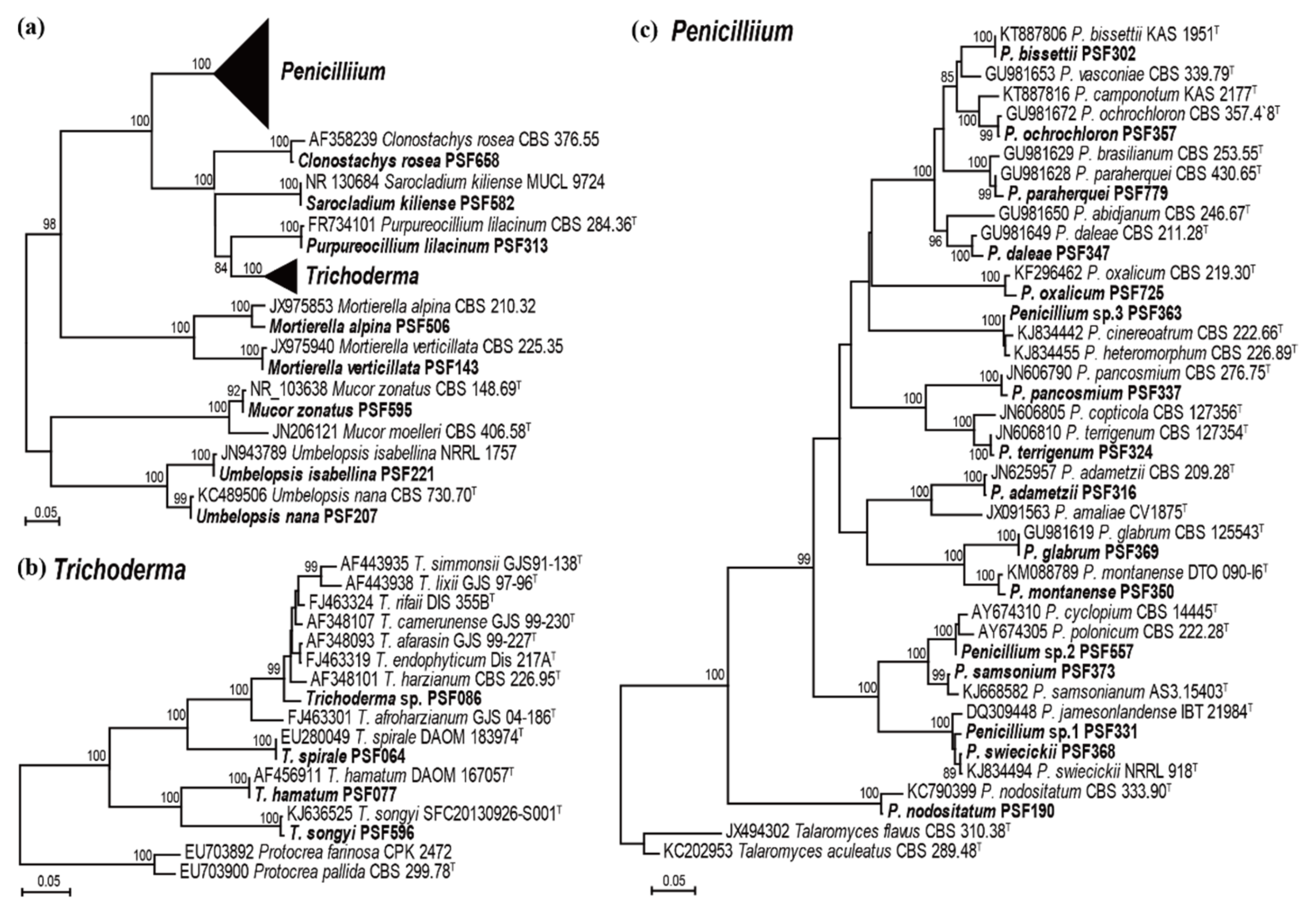 Microorganisms 07 00169 g001