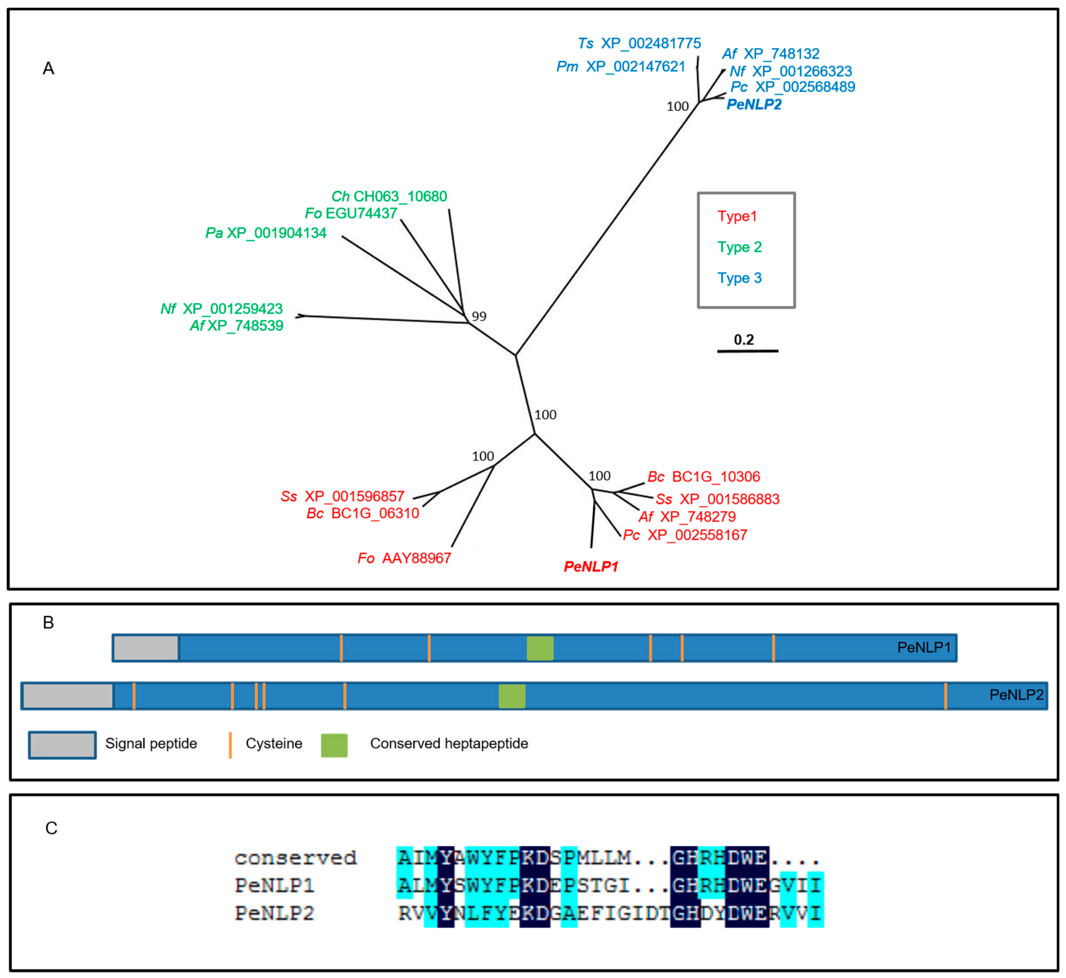 Microorganisms 07 00175 g001