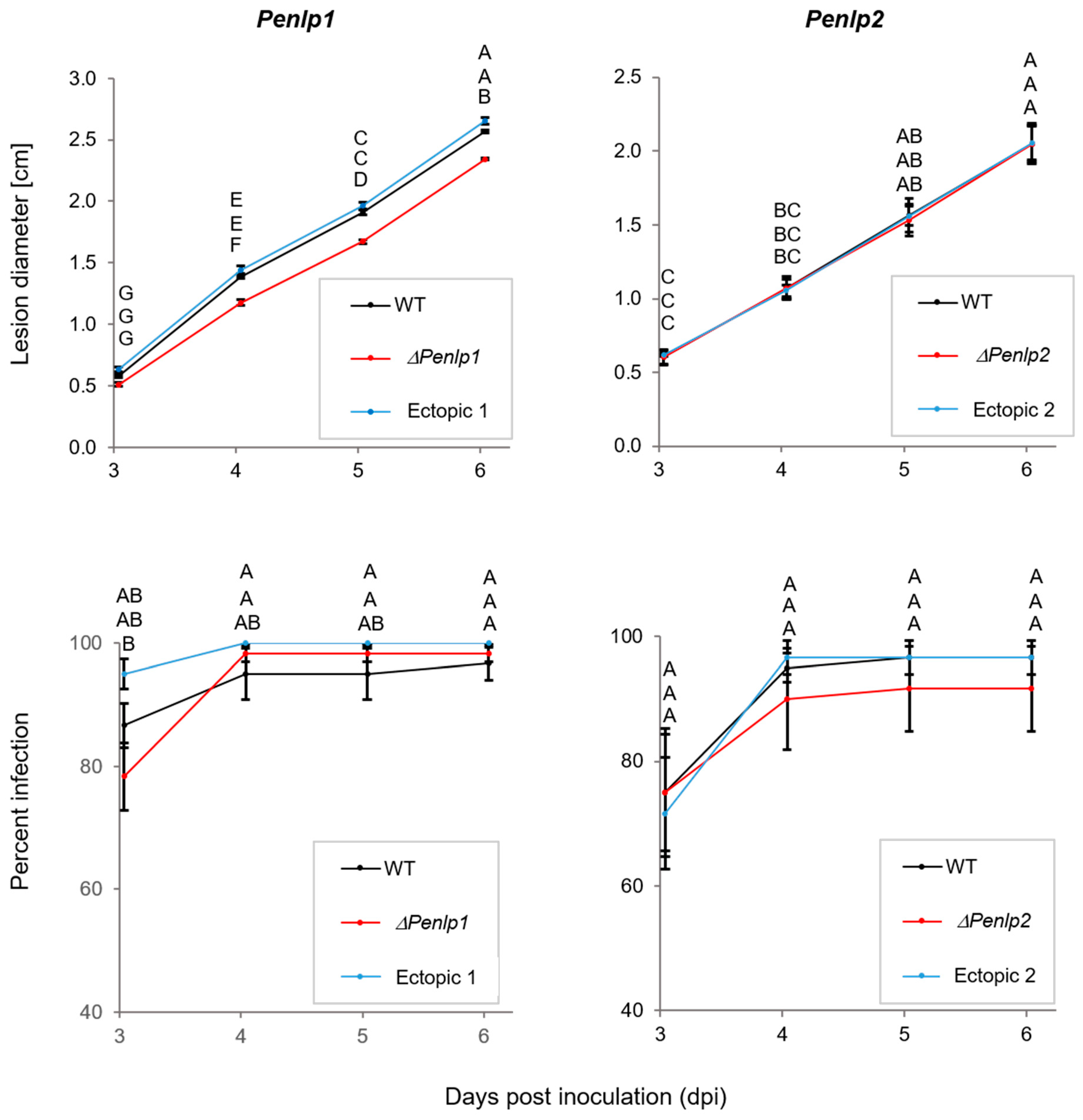 Microorganisms 07 00175 g005