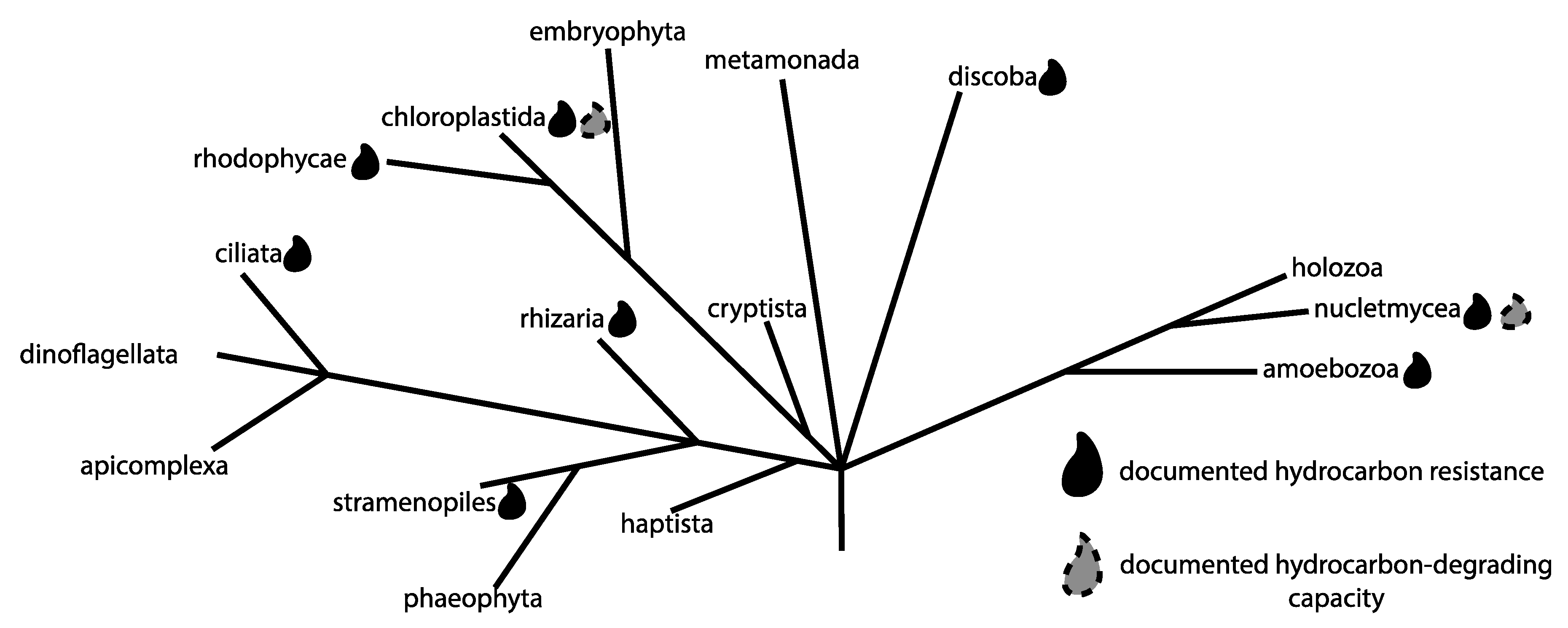 Microorganisms 07 00178 g001