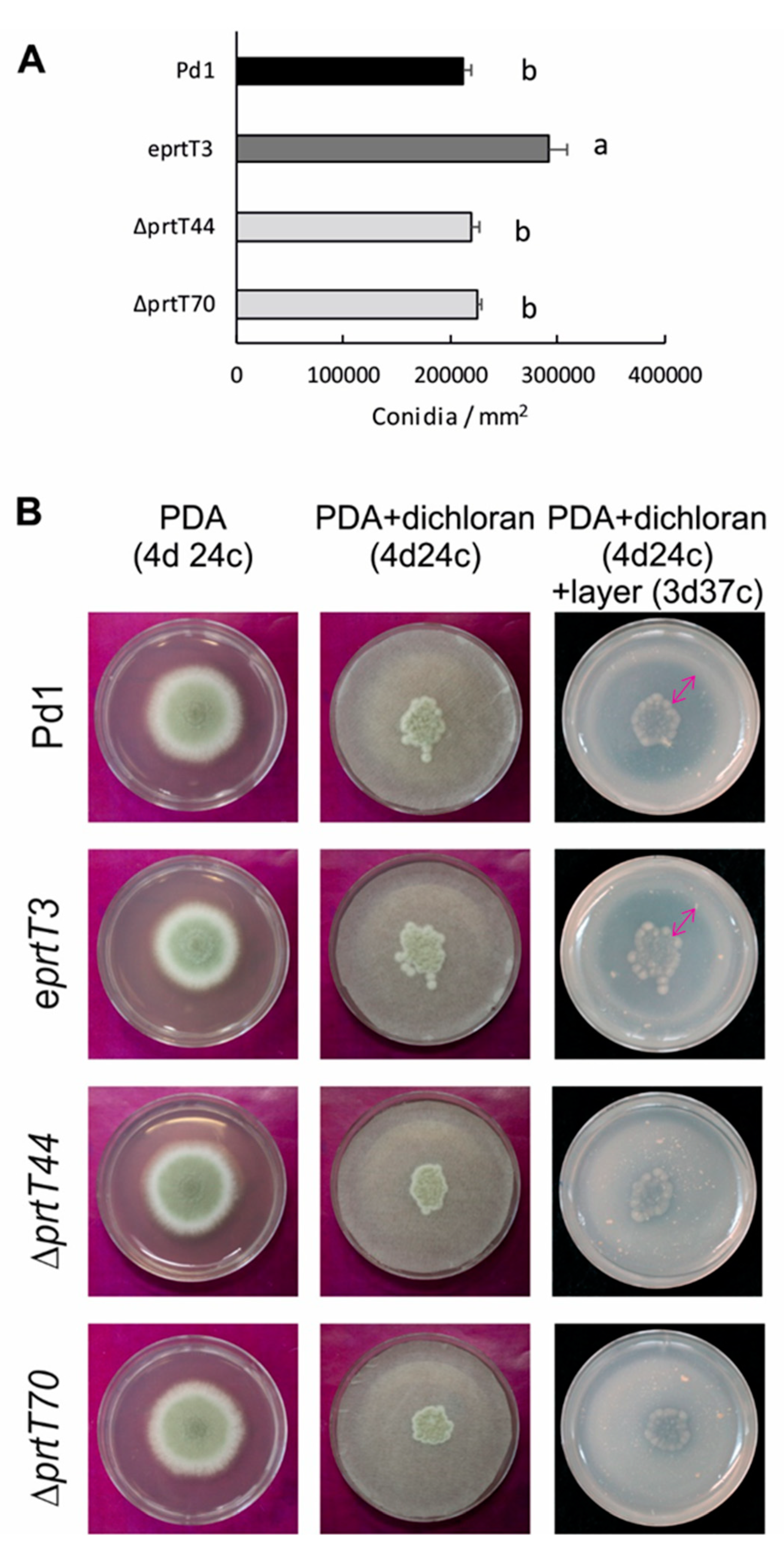 Microorganisms 07 00198 g002