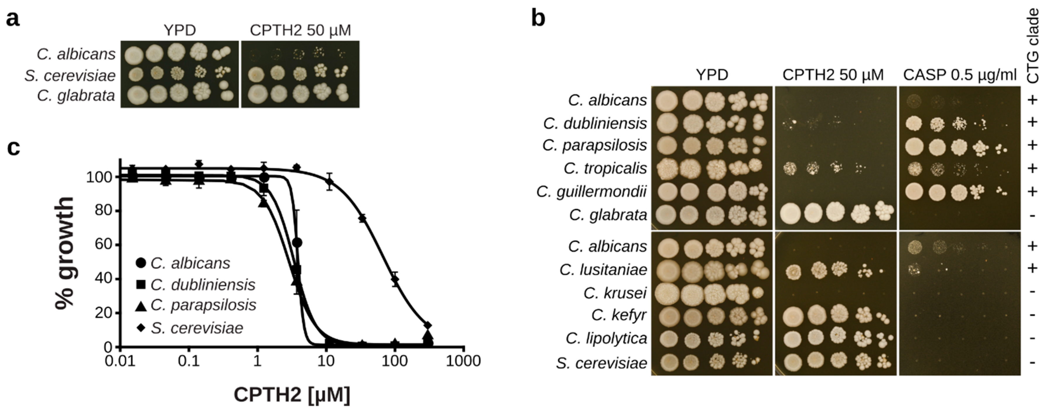 Microorganisms 07 00201 g003