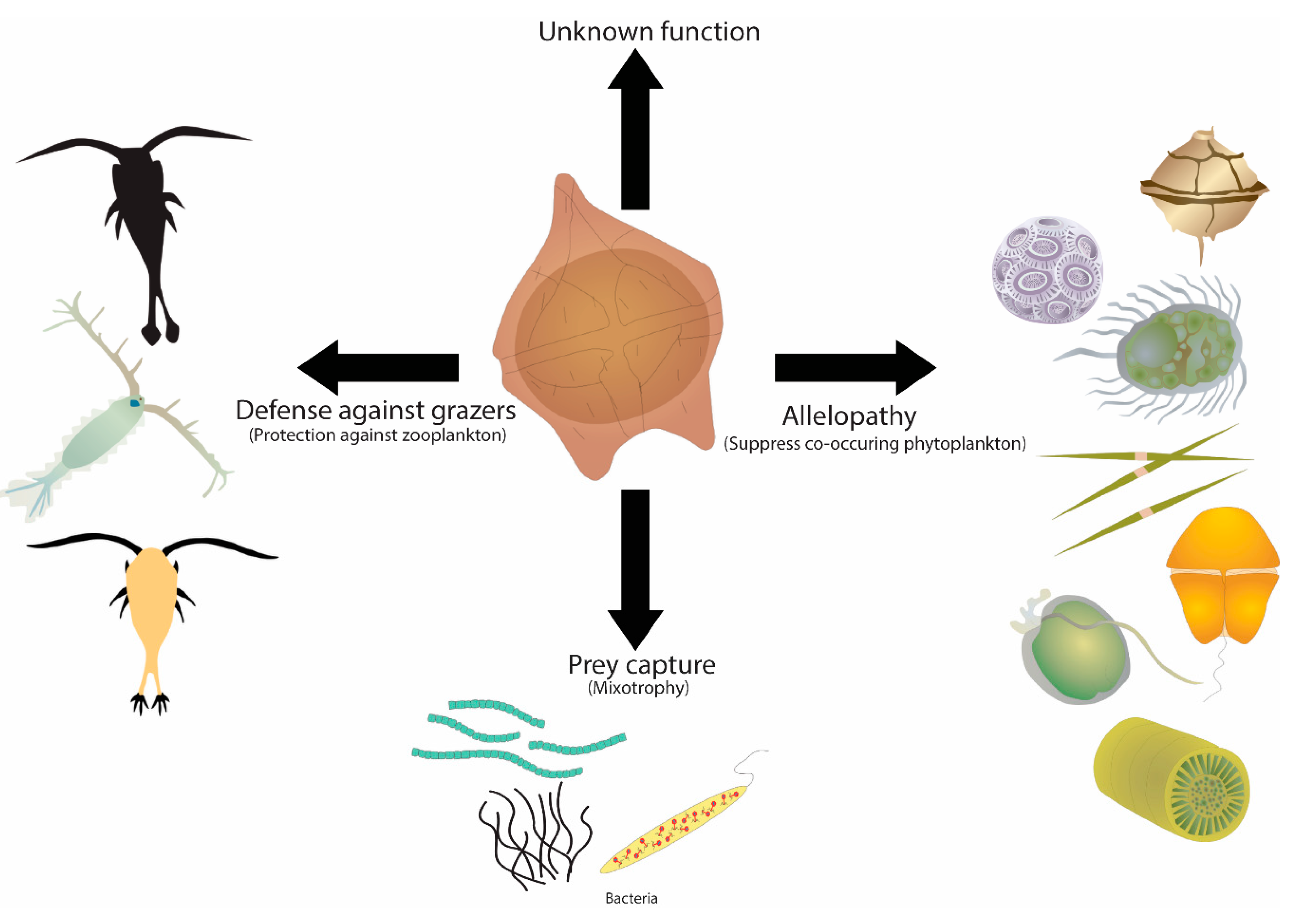 Microorganisms 07 00222 g001