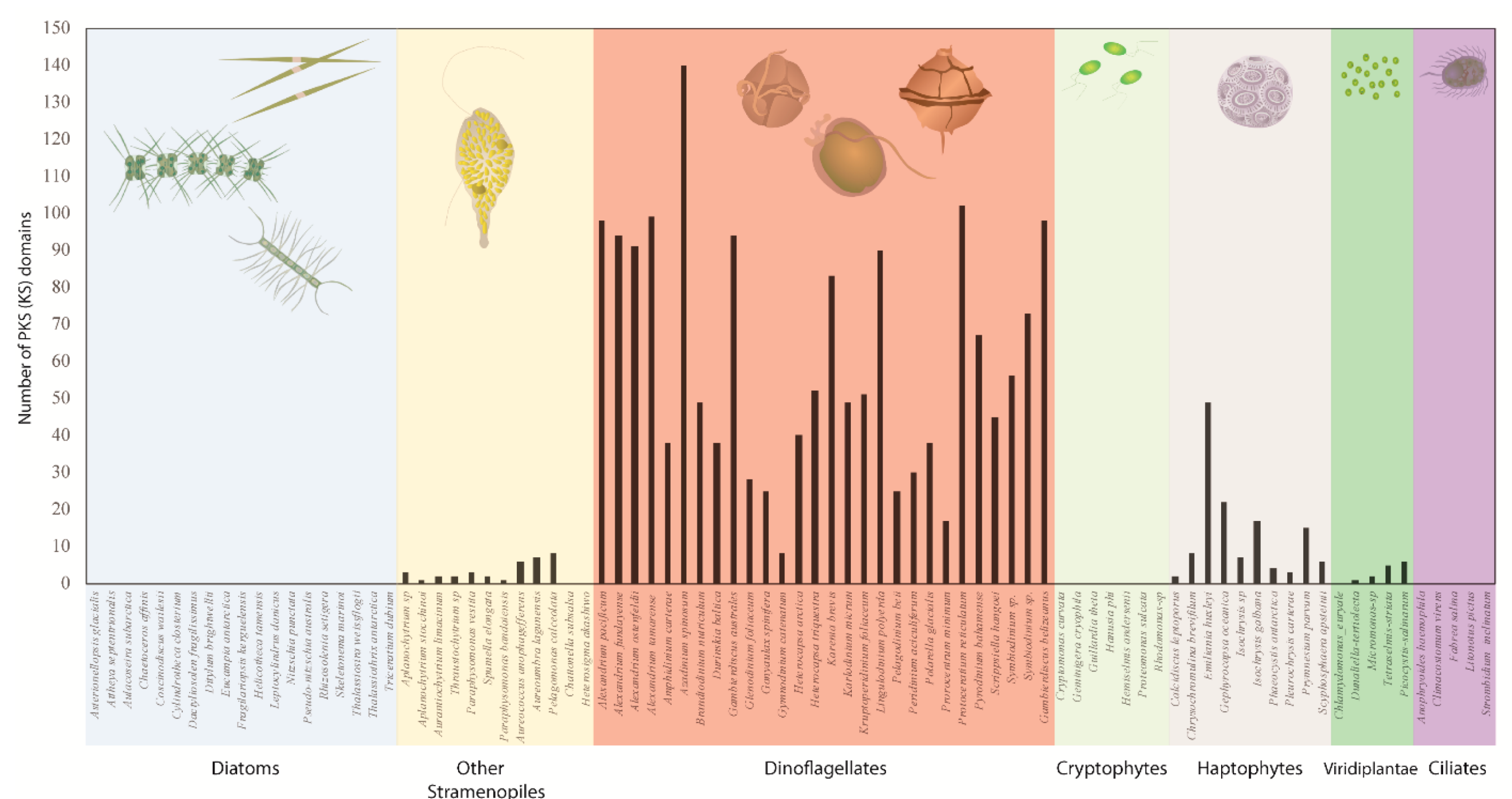 Microorganisms 07 00222 g004