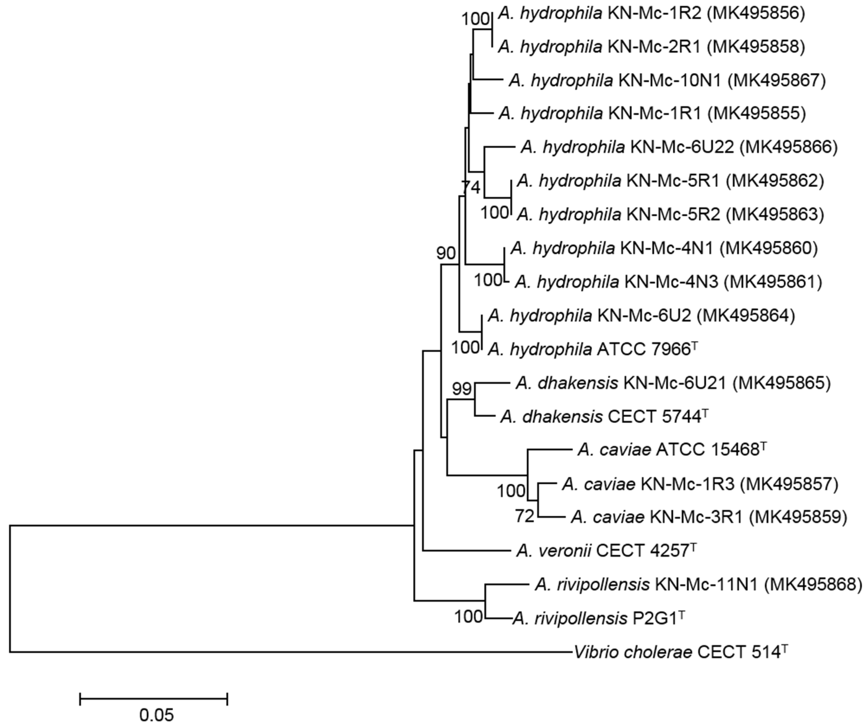 Microorganisms 07 00224 g001
