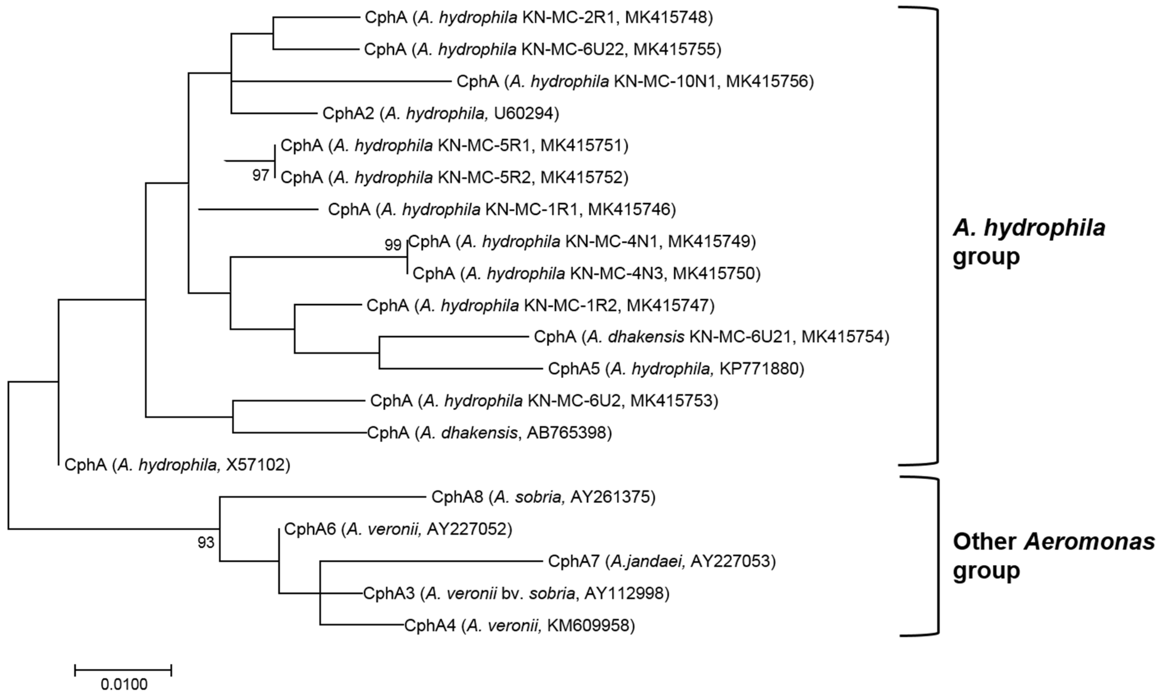 Microorganisms 07 00224 g002