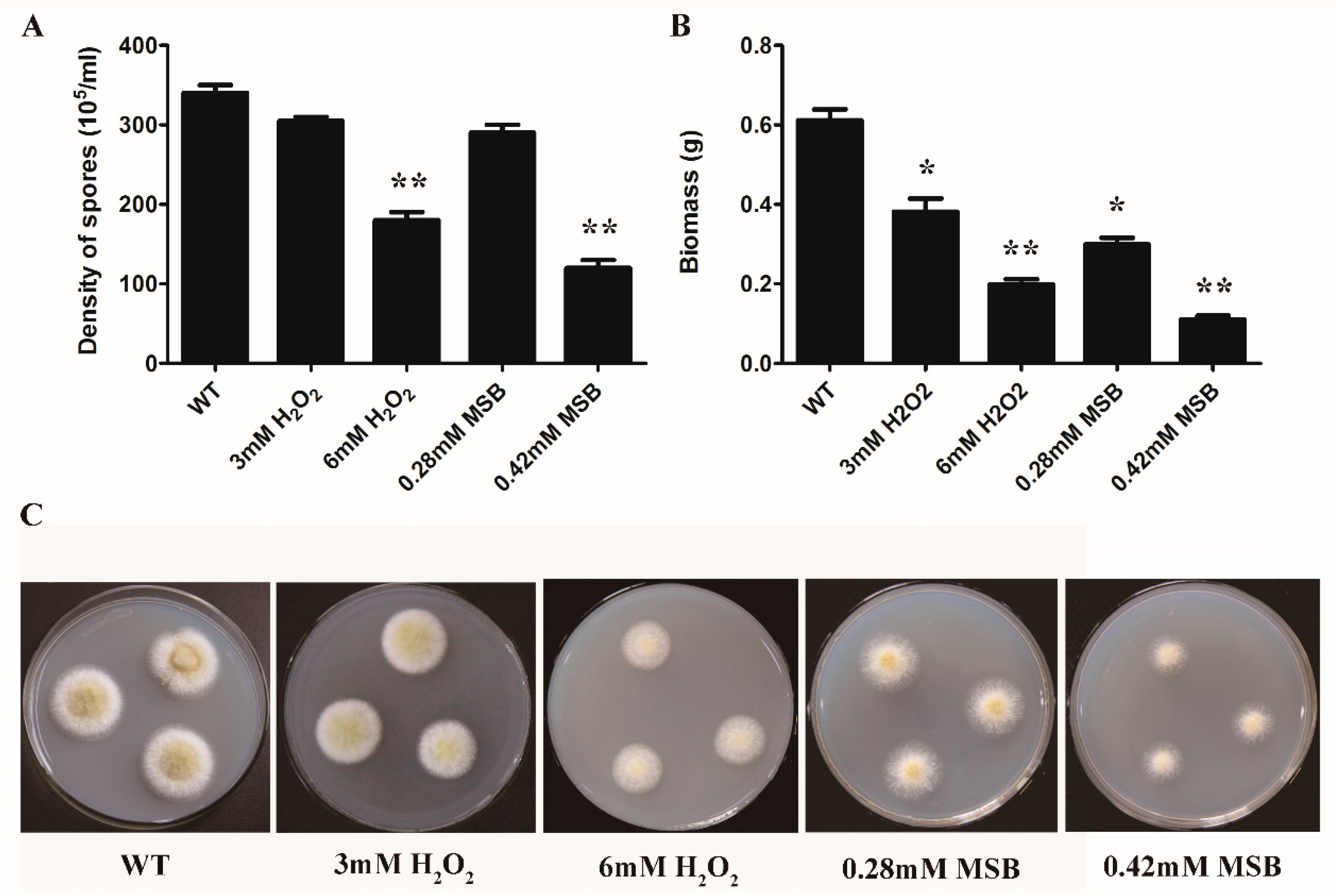 Microorganisms 07 00225 g001 Microorganisms 07 00225 g001
