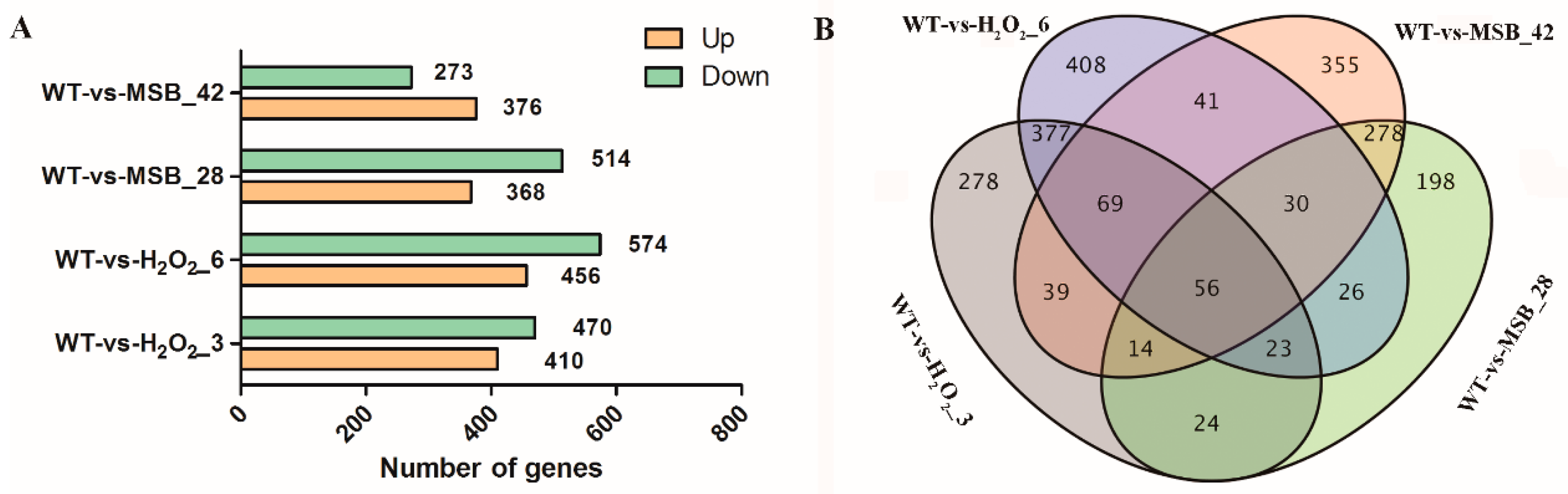 Microorganisms 07 00225 g002 Microorganisms 07 00225 g002