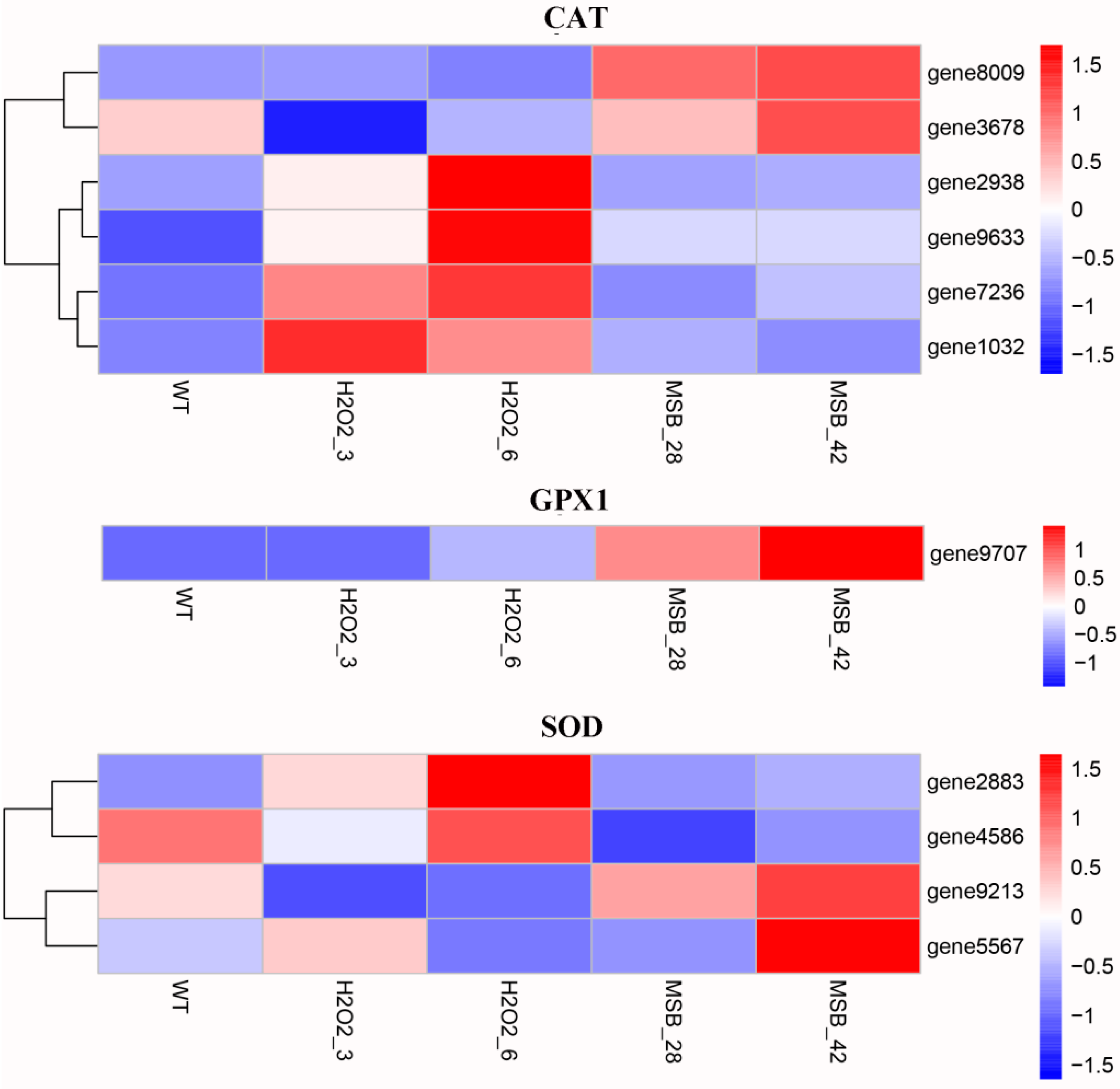 Microorganisms 07 00225 g003 Microorganisms 07 00225 g003