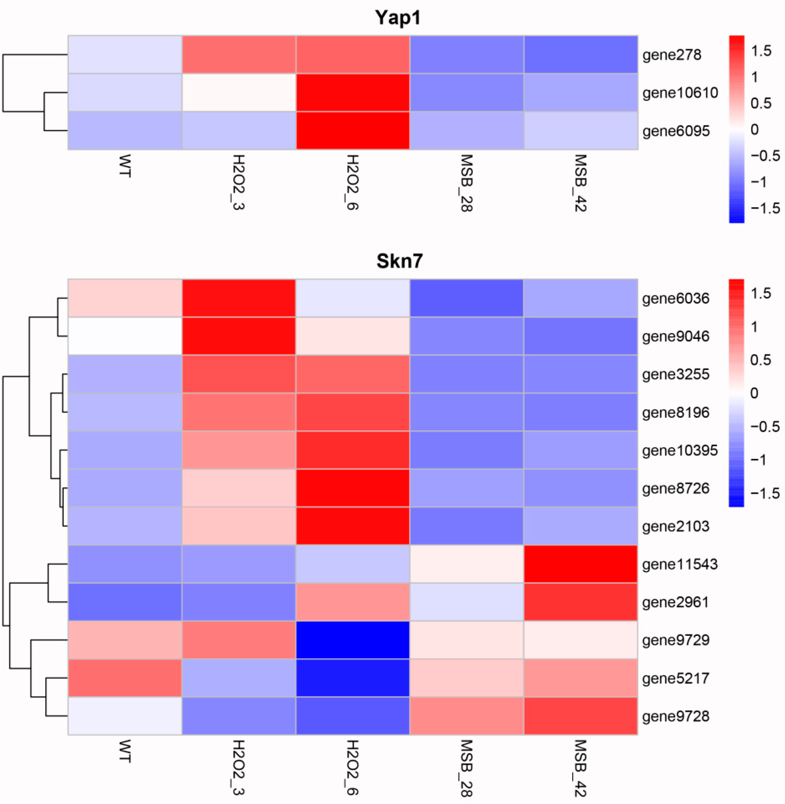 Microorganisms 07 00225 g004 Microorganisms 07 00225 g004