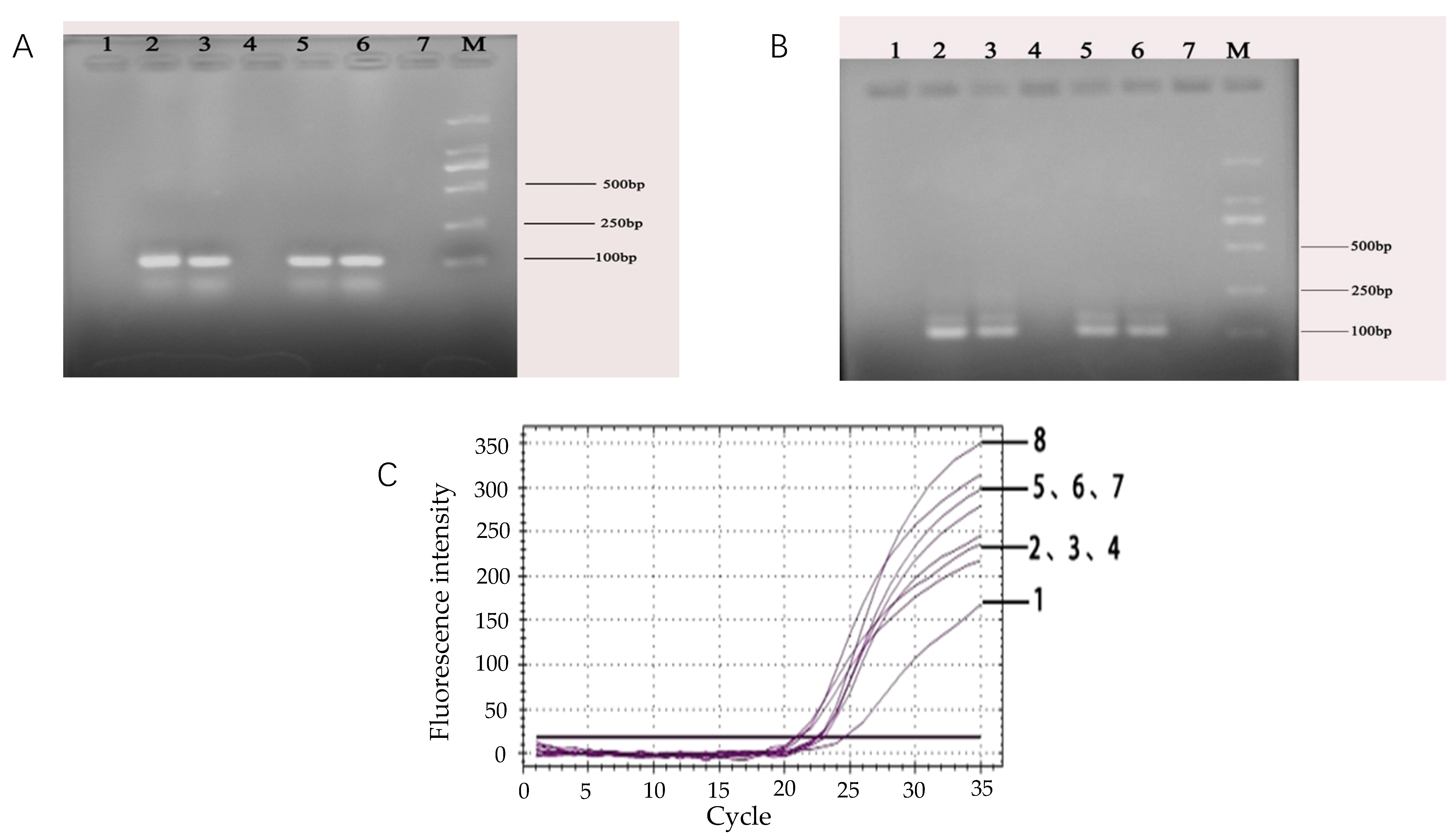 Microorganisms 07 00230 g005
