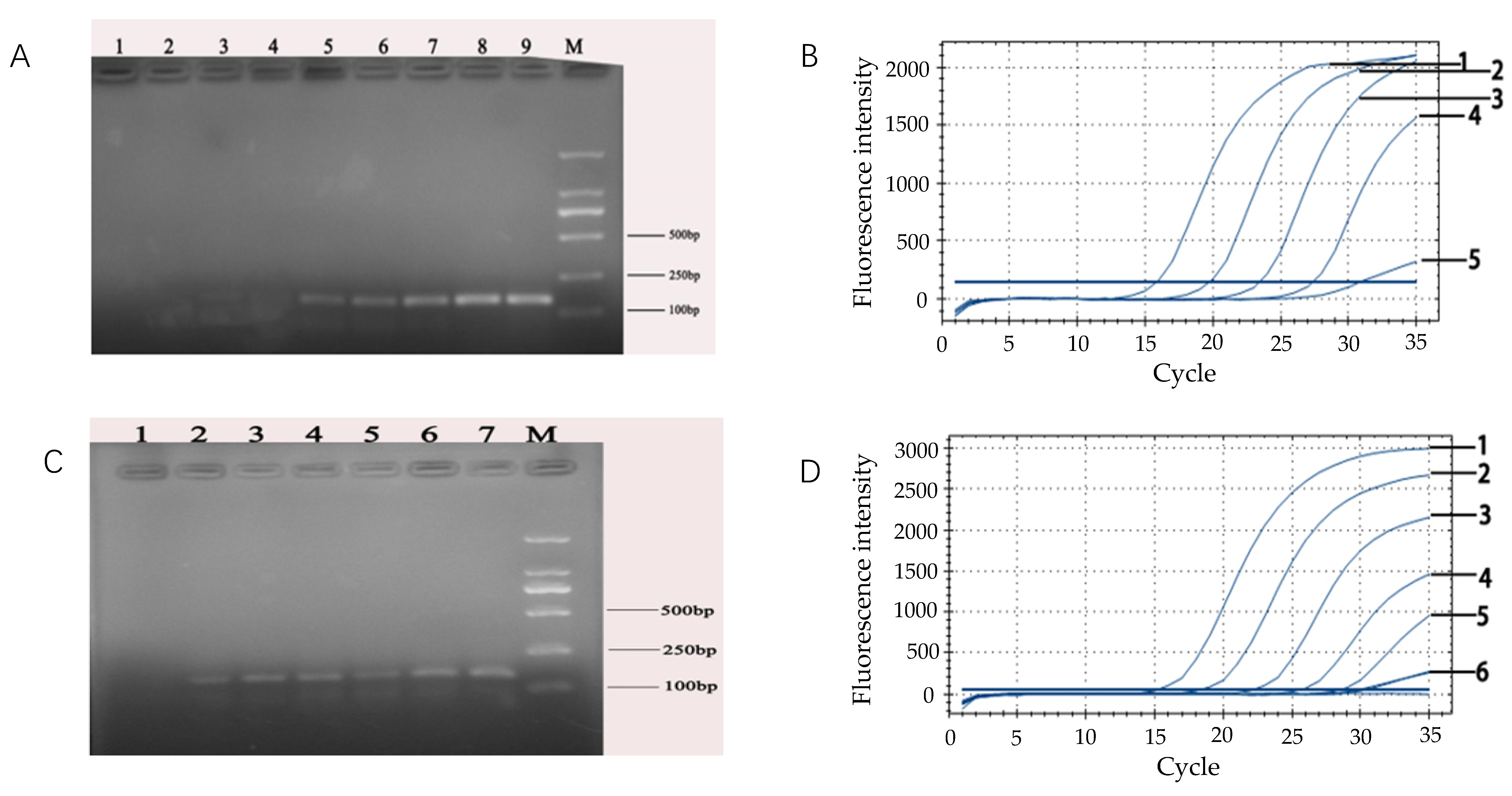 Microorganisms 07 00230 g006