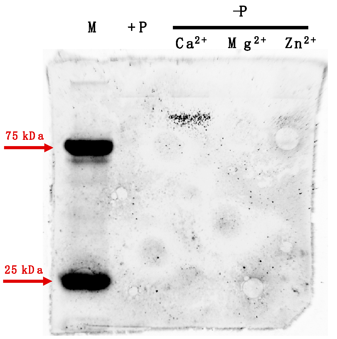 Microorganisms 07 00232 g002