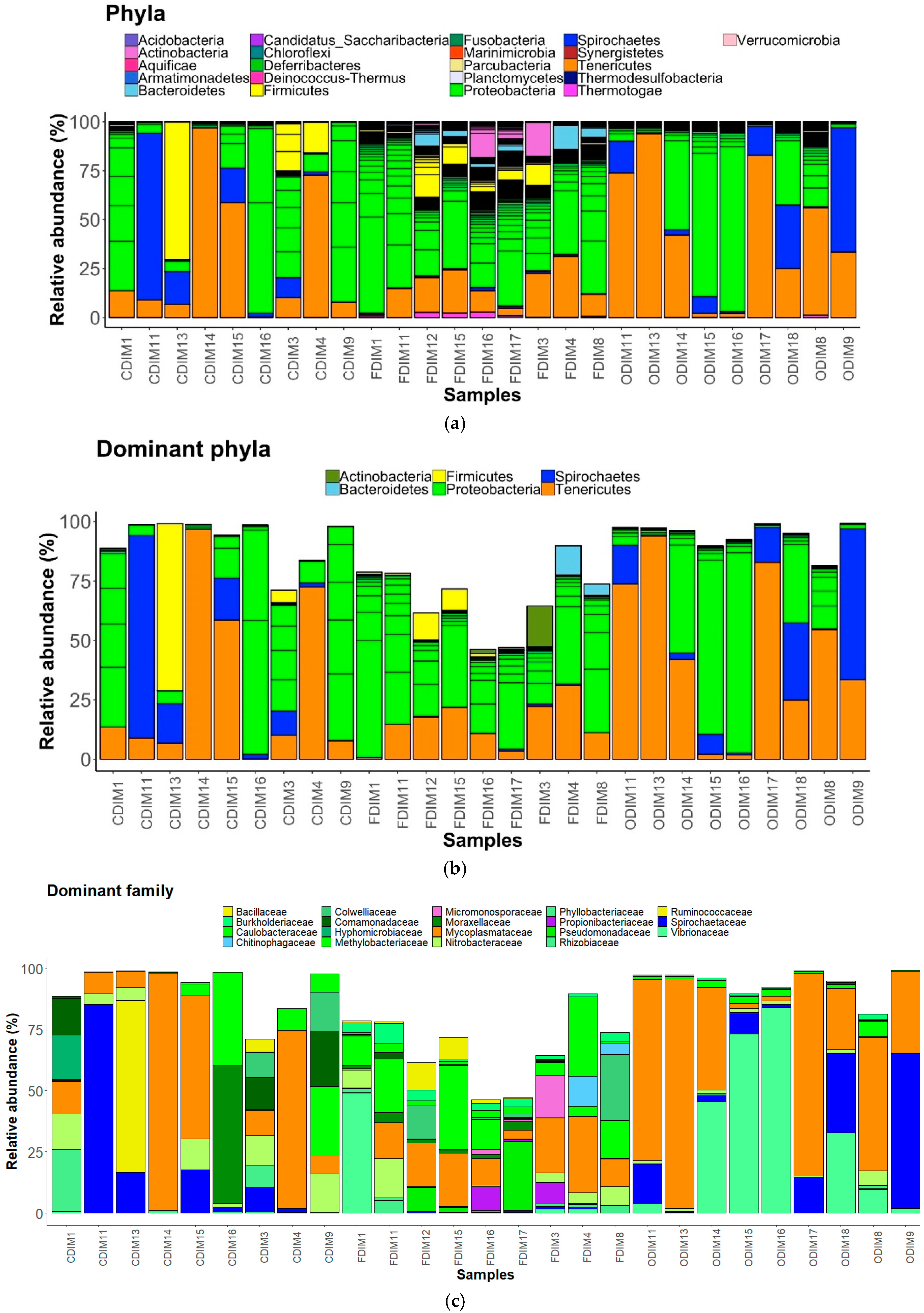 Microorganisms 07 00233 g003