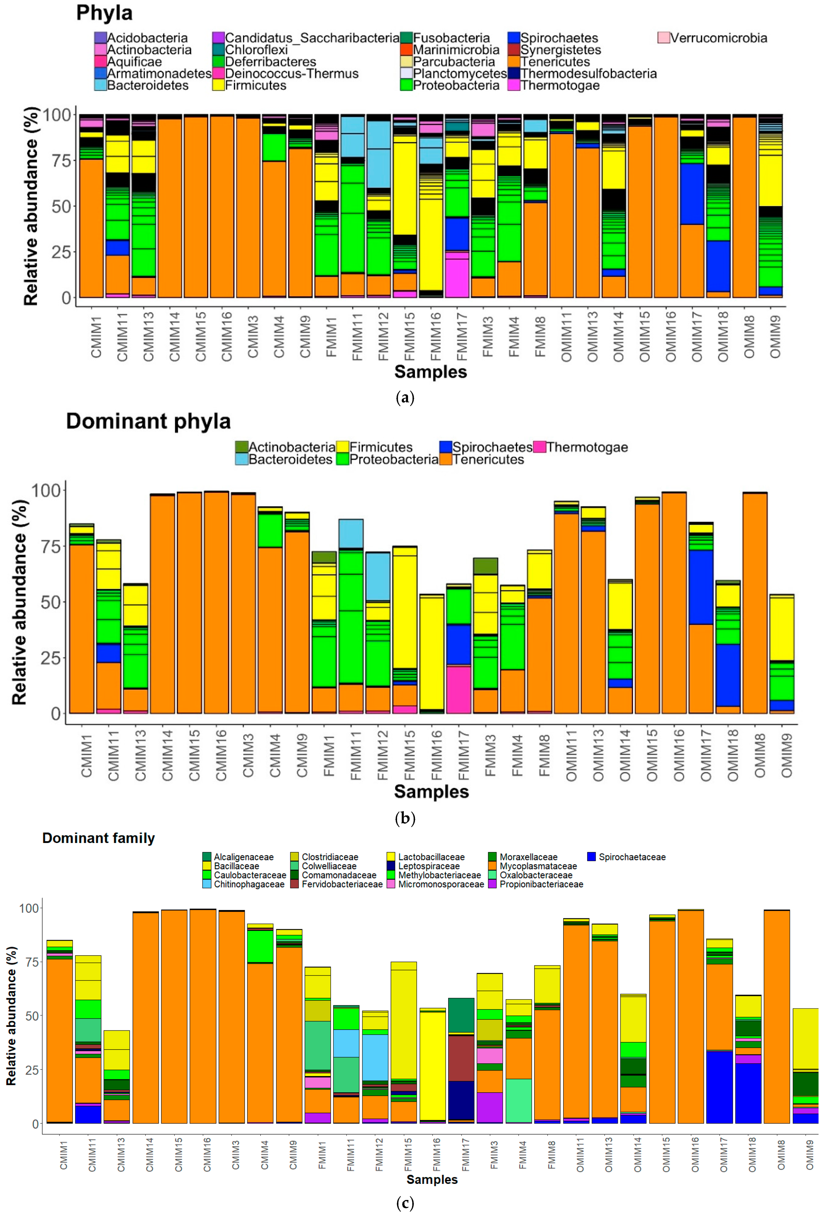Microorganisms 07 00233 g004