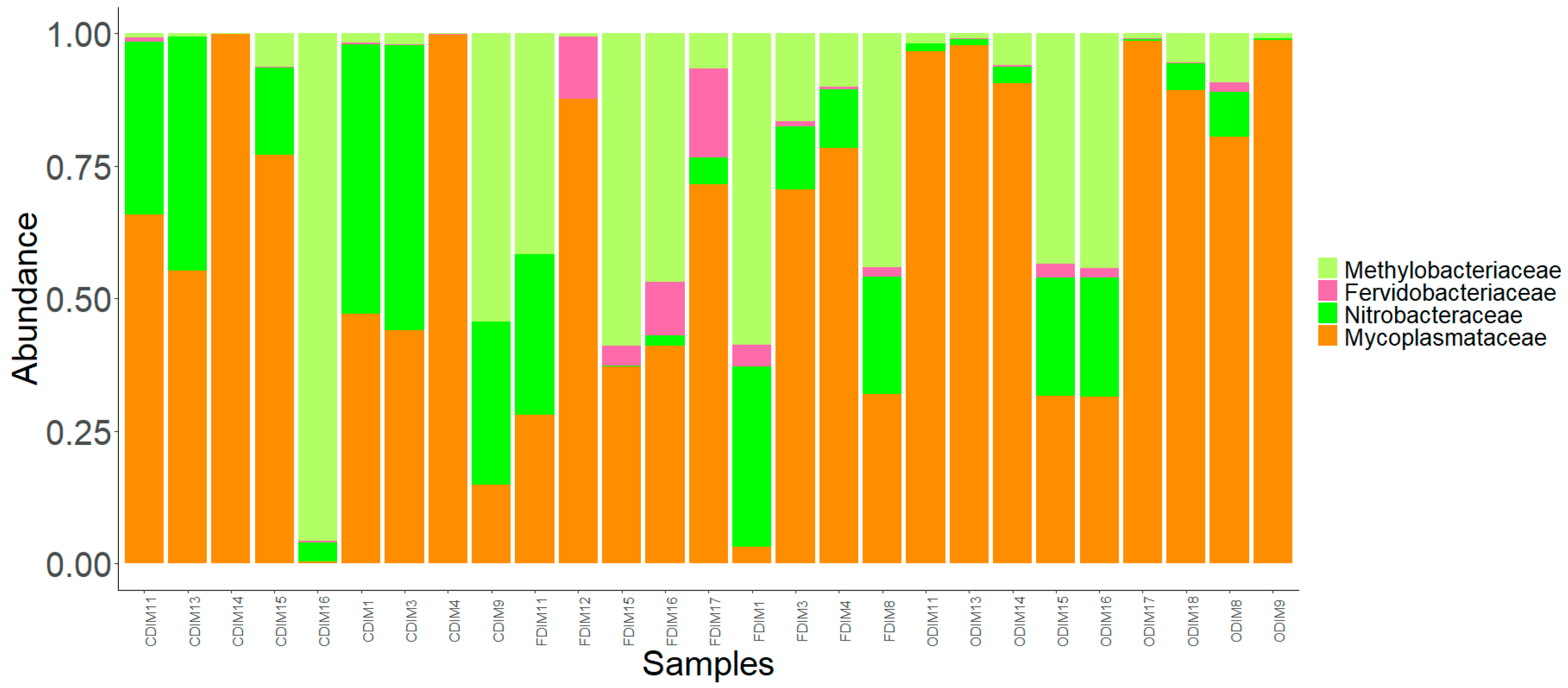 Microorganisms 07 00233 g005