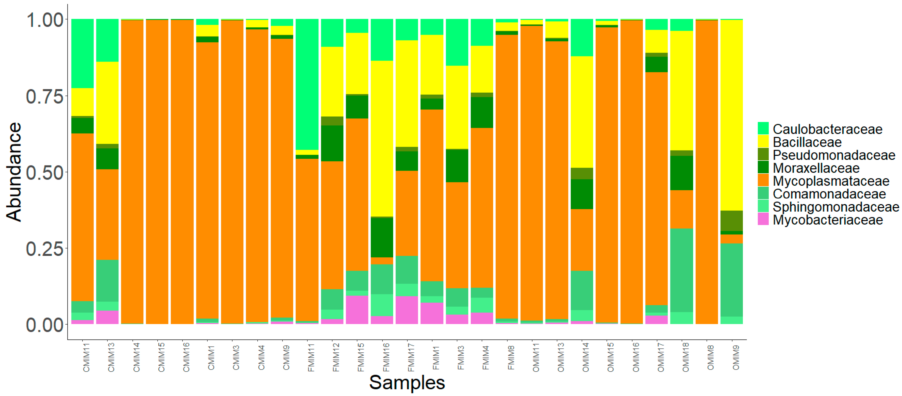 Microorganisms 07 00233 g006