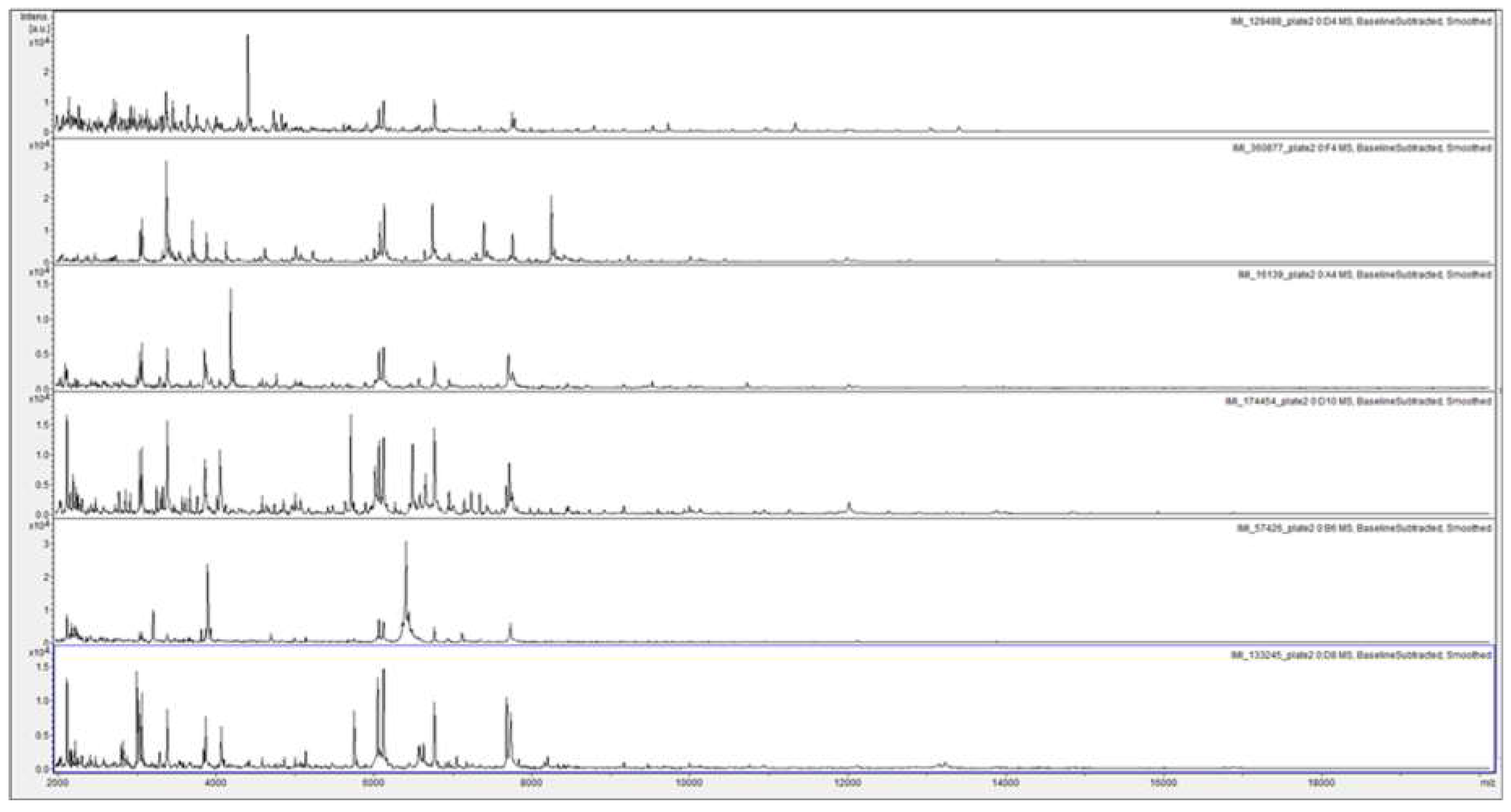 Microorganisms 07 00235 g004