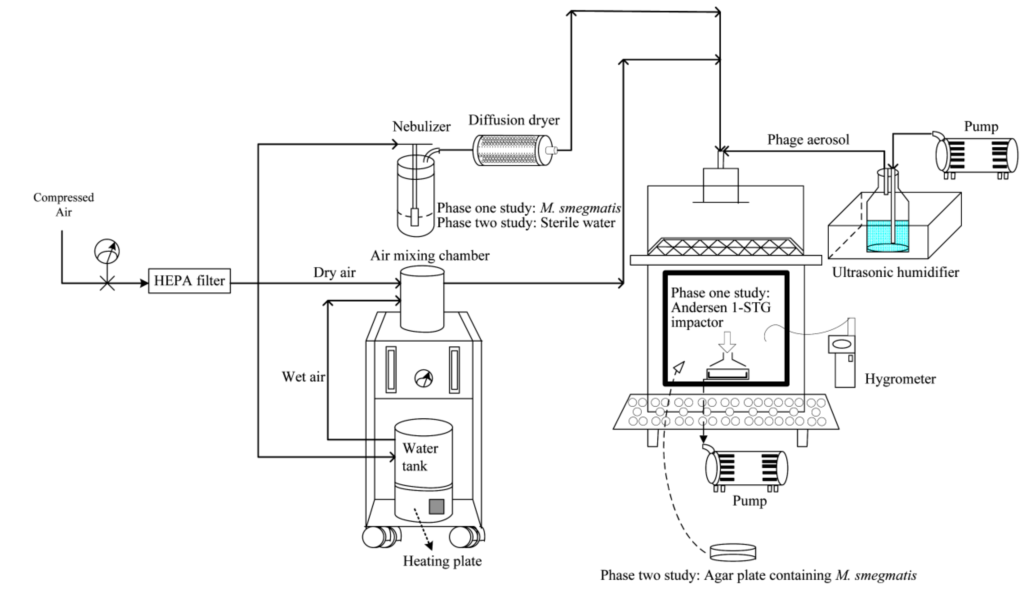 Microorganisms 07 00237 g001 Microorganisms 07 00237 g001